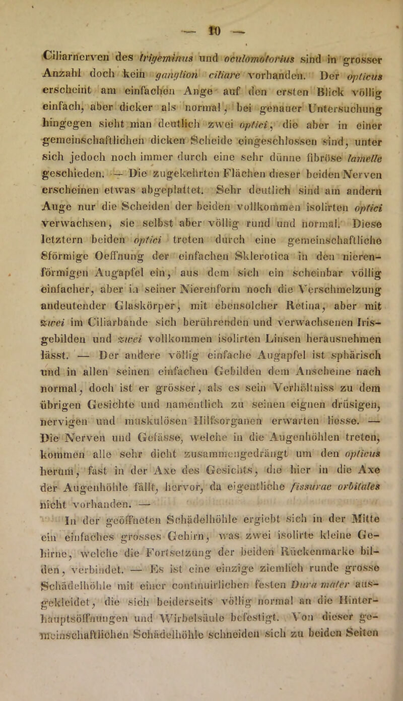 Ciliarnerven des trü/eminus und oculomotorius sind in «rosser Anzahl doch kein tganylion ciliare vorhanden. Der opticus erscheint am einfachen Ange auf den ersten Mick völlig einfach, aber dicker als normal r' hei genauer Untersuchung hingegen sieht man deutlich zwei optici, die aber in einer gemeinschaftlichen dicken Scheide eingeschlossen sind, unter sich jedoch noch immer durch eine sehr dünne fibröse larnelle * geschieden. — Die zugekehrten Flächen dieser beiden Nerven erscheinen etwas abgeplattet. Sehr deutlich sind am andern Auge nur die Scheiden der beiden vollkommen isolirten optici verwachsen, sie selbst aber völlig rund und normal. Diese letztem beiden optici treten durch eino gemeinschaftliche Sförmige Oeffnung der einfachen Sklerotica in den nieren- förmigen Augapfel ein, aus dem sich ein scheinbar völlig einfacher, aber i.i seiner Nierenform noch die Verschmelzung andeutender Glaskörper, mit ebensolcher Retina, aber mit zwei im Ciliarbande sich berührenden und verwachsenen Iris- gebilden und zwei vollkommen isolirten Linsen herausnehmen lässt. — Der andere völlig einfache Augapfel ist sphärisch und in allen seinen einfachen Gebilden dem Anscheine nach normal, doch ist er grösser, als es sein Verhüll Biss zu dem übrigen Gesichte und namentlich zu seinen eignen drüsigen, nervigen und muskulösen Hilfsorganen erwarten Hesse. — Die Nerven und Gefässe, welche in die Augenhöhlen treten, kommen alle sehr dicht zusammengedrängt um den opticus herum, fast in der Axe des Gesichts, die hier in die Axe der Augenhöhle fallt, hervor, da eigentliche ßssurae orbitales nicht vorhanden. — ln der geöffneten Schädelhöhle ergiebt sich in der Mitte ein einfaches grosses Gehirn, was zwei isolirte kleine Ge- hirne, welche die Fortsetzung der beiden Rückenmarko bil- den, verbindet. — Es ist eine einzige ziemlich runde grosso Schädelhöhle mit einer coiitinuirlichen festen Dura mater aus- gekleidet, die sich beiderseits völlig normal an die Hinter- hauptsölfnungen und Wirbelsäule befestigt. ^ on dieser ge- meinschaftlichen Solmdelhöhlc schneiden sich zu beiden Seiten