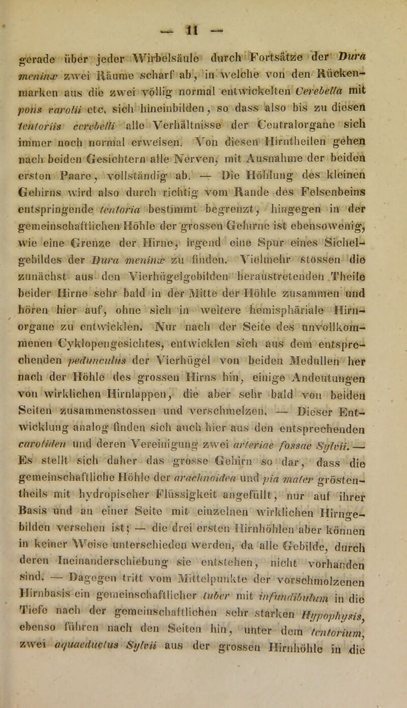 gerade über jeder Wirbelsäule durch Fortsätze der Dura meninx zwei Räume scharf ab, in welche von den Rücken- markcn aus die zwei völlig normal entwickelten Cerebel/a mit pons rarolii etc. sich hineinbilden, so dass also bis zu diesen lentoriis c er ehe Hi alle Verhältnisse der Centralorgane sich immer noch normal erweisen. Von diesen Hirntheilcn gehen nach beiden Gesichtern alle Nerven, mit Ausnahme der beiden ersten Paare, vollständig ab. — Die Höhlung des kleinen Gehirns wird also durch richtig vom Rande des Felsenbeins entspringende tentoria bestimmt begrenzt, hingegen in der gemeinschaftlichen Höhle der grossen Gehirne ist ebensowenig, wie eine Grenze der Hirne, irgend eine Spur eines Sichel- gebildes der Dura meninx zu finden. Vielmehr stössen die zunächst aus den Vierhügelgebilden heraustretenden Theile beider Hirne sehr bald in der Mitte der Höhle zusammen und hören hier auf, ohne sich in weitere hemisphäriale Hirn- * orgaue zu entwicklen. Nur nach der Seite des unvollkom- menen Cyklopengesichtes, entwicklen sich aus dem entspre- chenden pedunculm der Vierhügel von beiden Medullen her nach der Höhle des grossen Hirns hin, einige Andeutungen von wirklichen Hirnlappen, die aber sehr bald von beiden Seiten zusammenstossen und verschmelzen. — Dieser Ent- wicklung analog finden sich auch hier aus den entsprechenden carofiden und deren Vereinigung zwei arieriae fossae Sylvia. Es stellt sich daher das grosse Gehirn so dar, dass die gemeinschaftliche Höhle der arachnoidea und via via (er «rösf en- thcils mit hydropisoher Flüssigkeit angefüllt, nur auf ihrer Basis und an einer Seite mit einzelnen wirklichen Hirn^e- bilden versehen ist; — die drei ersten Hirnhöhleü aber können in keiner Weise unterschieden werden, da alle Gebilde, durch deren Ineinanderschiebung sie entstehen, nicht vorhanden sind. — Dagegen tritt vom Mittelpunkte der verschmolzenen Hirnbasis ein gemeinschaftlicher lüber mit infundibulwn in die Tiefe nach der gemeinschaftlichen sehr starken Hypophysis ebenso führen nach den Seiten hin, unter dem tmtorium zwei aquaeduclus Sylvii aus der grossen •Hirnhöhle in die