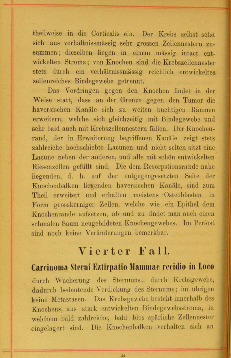 theilweise in die Corticalis ein. Der Krebs selbst setzt sich aus verhältnissmässig sehr grossen Zcllennestern zu- sammen ; dieselben liegen in einem massig intact ent- wickelten Stroma; von Knochen sind die Krebszellennester stets durch ein verhältnissmässig reichlich entwickeltes zellenreiches Bindegewebe getrennt. Das Vordringen gegen den Knochen findet in der Weise statt, dass an der Grenze gegen den Tumor die haversischen Kanäle sich zu weiten buclitigen Bäumen erweitern, welche sich gleichzeitig mit Bindegewebe und sehr bald auch mit Krebszellennestern füllen. Der Knochen- rand, der in Erweiterung begriffenen Kanäle zeigt stets zahlreiche hochschiebte Lacunen und nicht selten sitzt eine Lacune neben der anderen, und alle mit schön entwickelten Riesenzellen gefüllt sind. Die dem Resorpstionsrande nahe liegenden, d. h. auf der entgegengesetzten Seite der Knochenbalken liegenden haversischen Kanäle, sind zum Theil erweitert und erhalten meistens Osteoblasten in Form grosskerniger Zellen, welche wie ein Epithel dem Knochenrande aufsetzen, ab und zu findet man auch einen schmalen Saum neugebildeten Knochengewebes. Im Periost sind noch keine Veränderungen bemerkbar. Vierter Fall. Carcilioina Steriii Ezlirpalio llaiiniiac rccidio in loco durch Wucherung des Sternums, durch Krebsgewebe, dadurch bedeutende Verdickung des Sternums; im übrigen keine Metastasen. Das Krebsgewebe besteht innerhalb des Knochens, aus stark entwickelten Bindcgcwebsstroma, in welchem bald zahlreiche, bald blos spärliche Zellennester eingelagcrt sind. Die Knochenbalkcn verhalten sich an