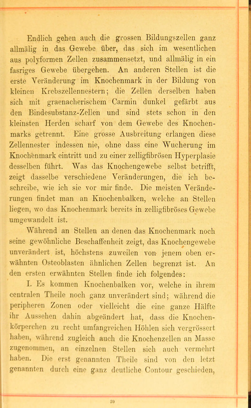 Endlich gehen auch die grossen Bildungszellen ganz allmälig in das Gewebe über, das sich im wesentlichen aus polyformen Zellen zusammensetzt, und allmälig in ein fasriixes GeAvebe übergehen. An anderen Stellen ist die erste Veränderung im Knochenmark in der Bildung von kleinen Krebszellennestern; die Zellen derselben haben sich mit graenacherischem Carmin dunkel gefärbt aus den Bindesubstanz-Zellen und sind stets schon in den kleinsten Herden scliarf von dem Gewebe des Knochen- marks getrennt. Eine grosse Ausbreitung erlangen diese Zellennester indessen nie, ohne dass eine Wucherung im Knochenmark eintritt und zu einer zeiligfibrösen H5^perplasie desselben führt. Was das Knochengewebe selbst betriflft, zeigt dasselbe verschiedene Veränderungen, die ich be- schreibe, wie ich sie vor mir finde. Die meisten Verände- rungen findet man an Knochenbalken, welche an Stellen liegen, wo das Knochenmark bereits in zeiligfibröses Gewebe umgewandelt ist. Während an Stellen an denen das Knochenmark noch seine gewöhnliche Beschaffenheit zeigt, das Knochengewebe unverändert ist, höchstens zuweilen von jenem oben er- Avähnten Osteoblasten ähnlichen Zellen begrenzt ist. An den ersten erwähnten Stellen finde ich folgendes: I. Es kommen Knochenbalken vor, Avelche in ihrem centralen Theile noch ganz unverändert sind; während die peripheren Zonen oder vielleicht die eine ganze Hälfte ihr Aussehen daliin abgeändert hat, dass die Knochen- körperchen zu recht umfangreichen Hölilen sich vergrössert haben, während zugleich auch die Knochenzellen an Masse zugenommen, an einzelnen Stellen sich auch vermehrt haben. Die erst genannten Theile sind von den letzt genannten durch eine ganz deutliche Contour geschieden. «9