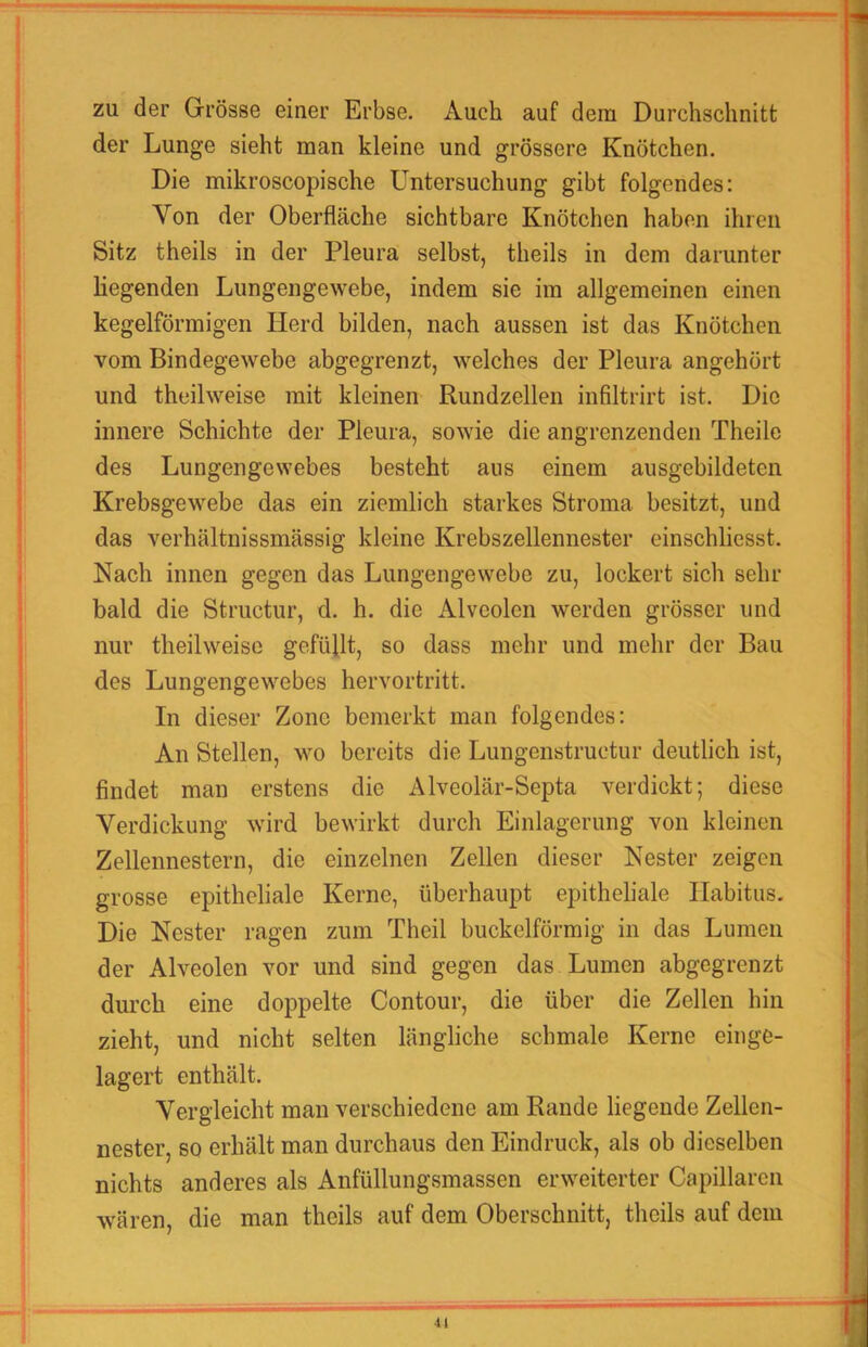 zu der Grösse einer Erbse. Auch auf dem Durchschnitt der Lunge sieht man kleine und grössere Knötchen. Die mikroscopische Untersuchung gibt folgendes: Von der Oberfläche sichtbare Knötchen haben ihren Sitz theils in der Pleura selbst, theils in dem darunter liegenden Lungengewebe, indem sie im allgemeinen einen kegelförmigen Herd bilden, nach aussen ist das Knötchen vom Bindegewebe abgegrenzt, welches der Pleura angehört und theilweise mit kleinen Rundzellen infiltrirt ist. Die innere Schichte der Pleura, sowie die angrenzenden Theile des Lungengewebes besteht aus einem ausgebildeten Krebsgewebe das ein ziemlich starkes Stroma besitzt, und das verhältnissmässig kleine Krebszellennester einschliesst. Nach innen gegen das Lungengewebe zu, lockert sich sehr bald die Structur, d. h. die Alveolen werden grösser und nur theilweise gefüllt, so dass mehr und mehr der Bau des Lungengewebes hervortritt. In dieser Zone bemerkt man folgendes: An Stellen, wo bereits die Lungenstructur deutlich ist, findet man erstens die Alveolär-Septa verdickt; diese Verdickung wird bewirkt durch Einlagerung von kleinen Zellennestern, die einzelnen Zellen dieser Nester zeigen grosse epitheliale Kerne, überhaupt epitheliale Habitus. Die Nester ragen zum Theil buckelförmig in das Lumen der Alveolen vor und sind gegen das Lumen abgegrenzt durch eine doppelte Contour, die über die Zellen hin zieht, und nicht selten längliche schmale Kerne einge- lagert enthält. Vergleicht man verschiedene am Rande liegende Zellen- nester, so erhält man durchaus den Eindruck, als ob dieselben nichts anderes als Anfüllungsmassen erweiterter Capillarcii wären, die man theils auf dem Oberschnitt, theils auf dem