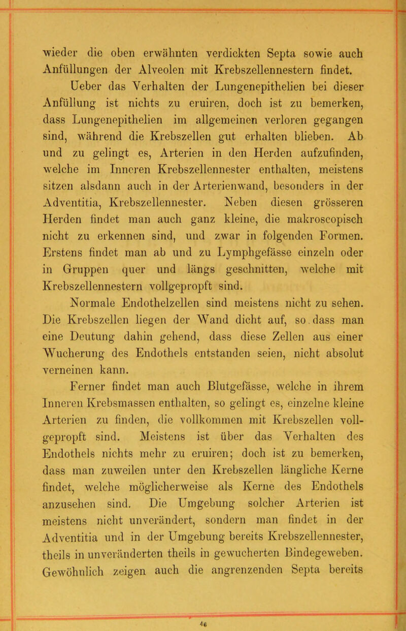 wieder die oben erwähnten verdickten Septa sowie auch Anfüllungen der Alveolen mit Krebszellennestern findet. lieber das Verhalten der Lungenepithelien bei dieser Anfüllung ist nichts zu eruiren, doch ist zu bemerken, dass Lungenepithelien im allgemeinen verloren gegangen sind, während die Krebszellen gut erhalten blieben. Ab und zu gelingt es, Arterien in den Herden aufzufinden, welche im Inneren Krebszellennester enthalten, meistens sitzen alsdann auch in der Arterienwand, besonders in der Adventitia, Krebszellennester. Neben diesen grösseren Herden findet man auch ganz kleine, die makroscopisch nicht zu erkennen sind, und zwar in folgenden Formen. Erstens findet man ab und zu Lymphgefässe einzeln oder in Gruppen quer und längs geschnitten, welche mit Krebszellennestern vollgepropft sind. Normale Endothelzellen sind meistens nicht zu sehen. Die Krebszellen liegen der Wand dicht auf, so dass man eine Deutung dahin gehend, dass diese Zellen aus einer Wucherung des Endothels entstanden seien, nicht absolut verneinen kann. Ferner findet man auch Blutgefässe, welche in ihrem Inneren Krebsmassen enthalten, so gelingt es, einzelne kleine Arterien zu finden, die vollkommen mit Krebszellen voll- gepropft sind. Meistens ist über das Verhalten des Endothels nichts mehr zu eruiren; doch ist zu bemerken, dass man zuweilen unter den Krebszellen längliche Kerne findet, welche möglicherweise als Kerne des Endothels anzusehen sind. Die Umgebung solcher Arterien ist meistens nicht unverändert, sondern man findet in der Adventitia und in der Umgebung bereits Krebszellennester, theils in unveränderten theils in gewucherten Bindegeweben. Gewöhnlich zeigen auch die angrenzenden Septa bereits