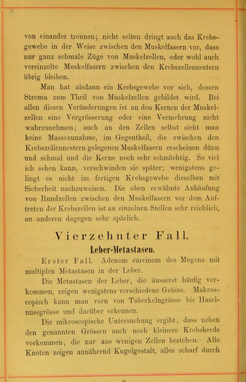 von einander trennen; nicht selten dringt auch das Krebs- gewebe in der Weise zwischen den Muskelfasern vor, dass nur ganz schmale Züge von Muskelzellen, oder wohl auch vereinzelte Muskelfasern zwischen den Krebszellennestern übrig bleiben. Man hat alsdann ein Krebsgewebe vor sich, dessen Stroma zum Theil von Muskelzellen gebildet wird. Bei allen diesen Veränderungen ist an den Kernen der Muskel- zellen eine Yei-grösserung oder eine Vermehrung nicht wahrzimehmen; auch an den Zellen selbst sieht man keine Massezunahme, im Gegentheil, die zwischen den Krebszellennestern gelegenen Muskelfasern erscheinen dünn und schmal und die Kerne noch sehr schmächtig. So viel ich sehen kann, verschwinden sie später; wenigstens ge- lingt es nicht im fertigen Krebsgewebe dieselben mit Sicherheit nachzuweisen. Die oben erwähnte Anhäufung von Rundzellen zwischen den Muskelfasern vor dem Auf- treten der Krebszellen ist an einzelnen Stellen sehr reichlich, an anderen dagegen sehr spärlich. Vierzehnter Fall. lt*l)er-lle(aslas<Mi. Erster Fall. Adenom carcinom des Magens mit multiplen Metastasen in der Leber. Die Metastasen der Leber, die äusserst häufig Vor- kommen, zeigen wenigstens verschiedene Grösse, Makros- copisch kann man vorn von Tuberkelngrösse bis Ilasel- nussgrösse und darüber erkennen. Die mikroscopische Untersuchung ergibt, dass neben den genannten Grössen auch noch kleinei'e Krebsherde Vorkommen, die nur aus wenigen Zellen bestehen. Alle Knoten zeigen annähernd Kugelgestalt, alles scharf durch