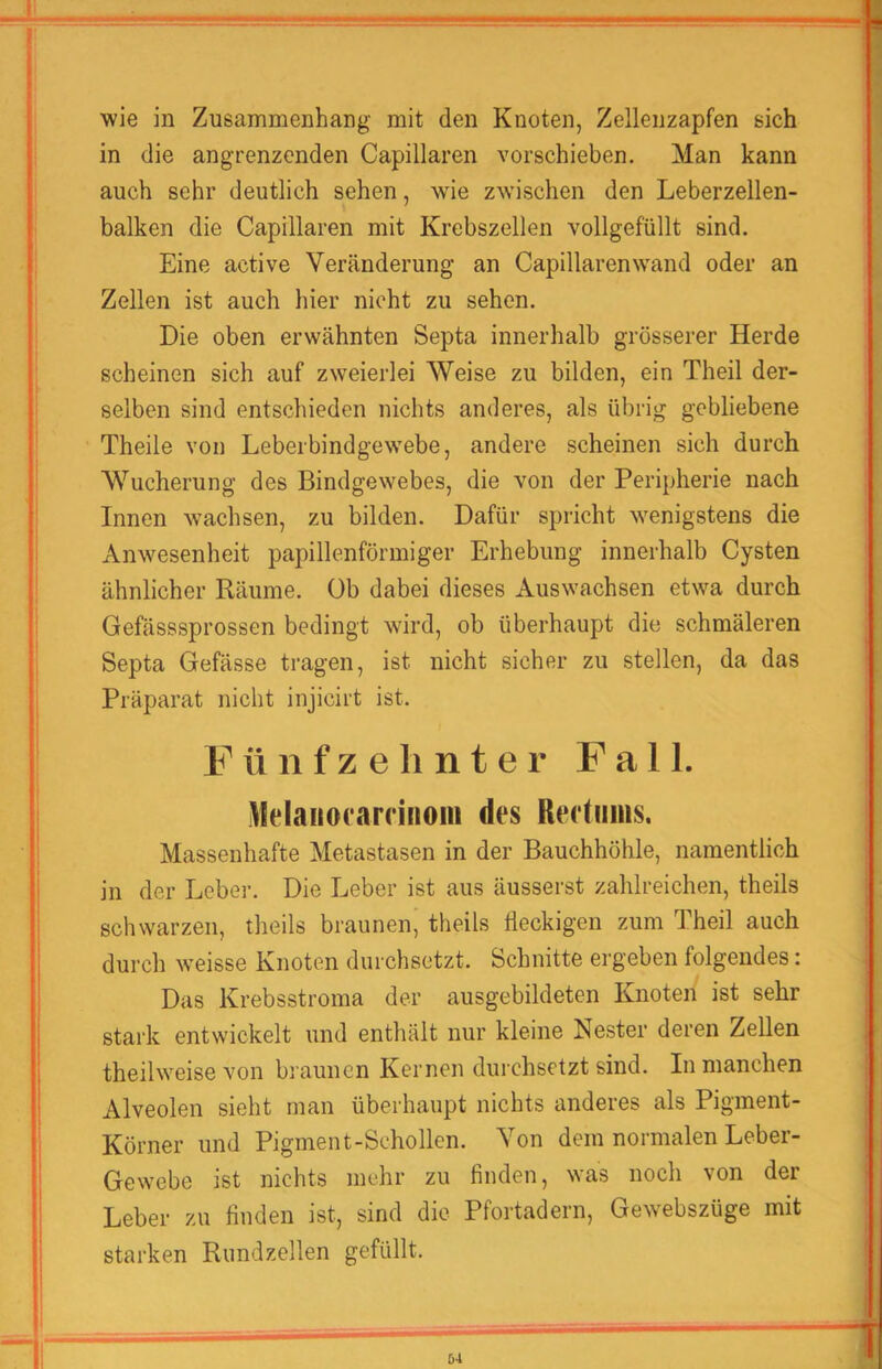 wie in Zusammenhang mit den Knoten, Zellenzapfen sich in die angrenzenden Capillaren vorschieben. Man kann auch sehr deutlich sehen, wie zwischen den Leberzellen- balken die Capillaren mit Krebszellen vollgefüllt sind. Eine active Veränderung an Capillaren wand oder an Zellen ist auch hier nicht zu sehen. Die oben erwähnten Septa innerhalb grösserer Herde scheinen sich auf zweierlei Weise zu bilden, ein Theil der- selben sind entschieden nichts anderes, als übrig gebliebene Theile von Leberbindgewebe, andere scheinen sich durch Wucherung des Bindgewebes, die von der Peripherie nach Innen wachsen, zu bilden. Dafür spricht w^enigstens die Anwesenheit papillenförmiger Erhebung innerhalb Cysten ähnlicher Räume, üb dabei dieses Auswachsen etwa durch Gefässsprossen bedingt wird, ob überhaupt die schmäleren Septa Gefässe tragen, ist nicht sicher zu stellen, da das Präparat nicht injicirt ist. Fünfzehnter Fall, llelanocaninom des Rediims. Massenhafte Metastasen in der Bauchhöhle, namentlich in der Leber. Die Leber ist aus äusserst zahlreichen, theils schwarzen, theils braunen, theils fleckigen zum Theil auch durch weisse Knoten durchsetzt. Schnitte ergeben folgendes: Das Krebsstroma der ausgebildeten Knoten ist sehr stark entwickelt und enthält nur kleine Nester deren Zellen theilweise von braunen Kernen durchsetzt sind. In manchen Alveolen sieht man überhaupt nichts anderes als Pigment- Körner und Pigment-Schollen. Von dem normalen Leber- Gewebe ist nichts mehr zu finden, was noch von der Leber zu finden ist, sind die Pfortadern, Ge^Yebszüge mit starken Rund zellen gefüllt.