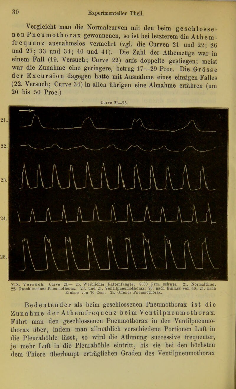 Vergleicht man die Normalcurven mit den beim geschlosse- nen Pneumothorax gewonnenen, so ist bei letzterem die Athem- frequenz ausnahmslos vermehrt (vgl. die Curven 21 und 22* 26 und 271 33 und 34 j 40 und 41). Die Zahl der AthemzUge war in einem Fall (19. Versuch; Curve 22) aufs doppelte gestiegen; meist war die Zunahme eine geringere, betrug 17—29 Proc. Die Grösse der Excursion dagegen hatte mit Ausnahme eines einzigen Falles (22. Versuch; Curve 34) in allen übrigen eine Abnahme erfahren (um 20 bis 50 Proc.). XIX. Versuch. Curve 21— 25. Weiblicher Eattenfänger, 8000 Grm. schwer. 21. Normalthier. 22. Geschlossener Pneumothorax. 23. und 24. Ventilpneumothorax; 23. nach Einlass von 40; 24. nach Einlass von 70 Ccm. 25. Offener Pneumothorax. Bedeutender als beim geschlossenen Pneumothorax ist die Zunahme der Athemfrequenz beim Ventilpneumothorax. Führt man den geschlossenen Pneumothorax in den Veutilpneumo- thorax über, indem man allmählich verschiedene Portionen Luft in die Pleurahöhle lässt, so wird die Athmung successive frequenter, je mehr Luft in die Pleurahöhle eintritt, bis sie bei den höchsten dem Thiere überhaupt erträglichen Graden des Ventilpneumothorax