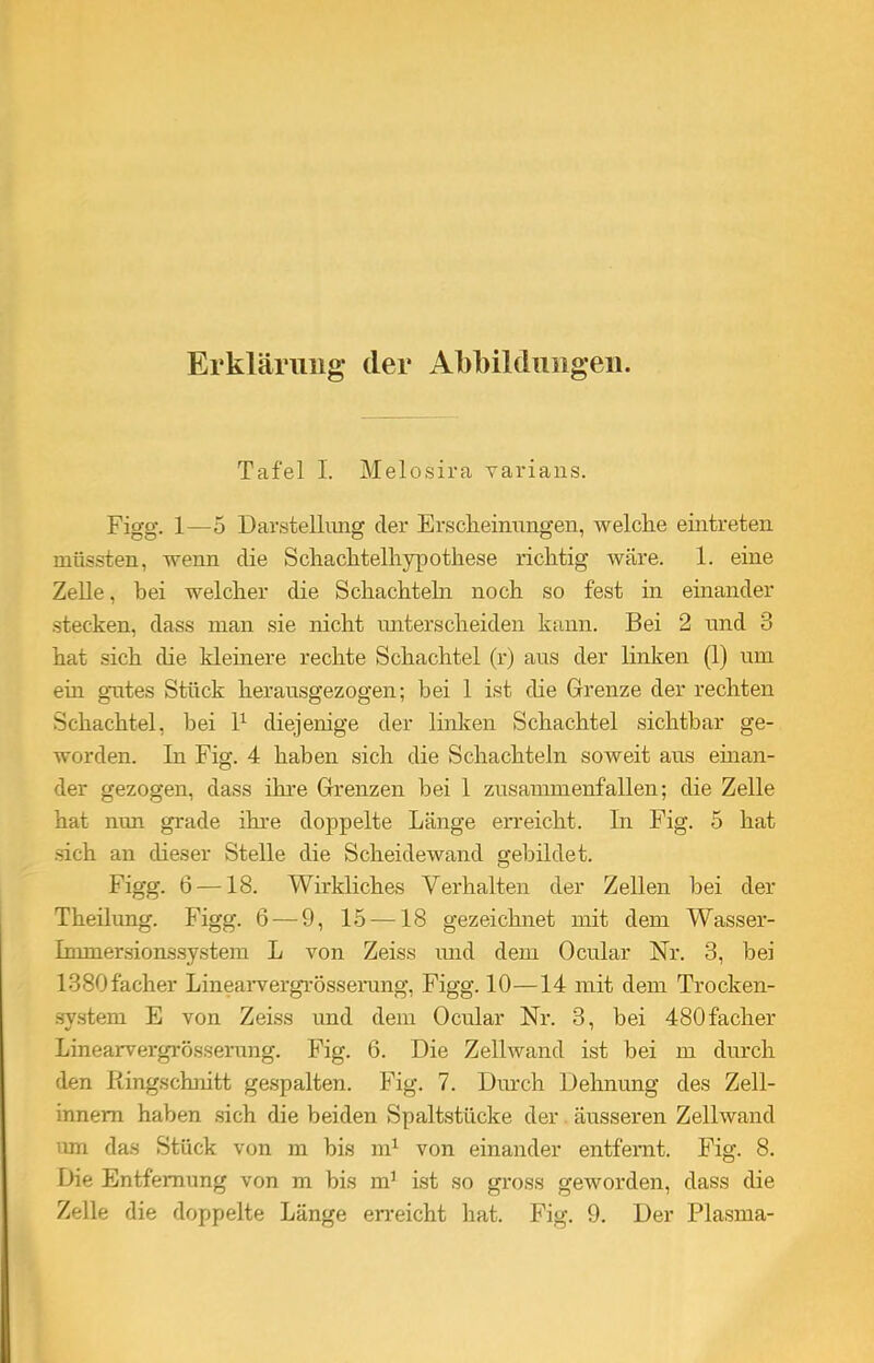 Erklärung der Abbildungen. Tafel I. Melosira varians. Figg. 1—5 Darstellung der Erscheinungen, welche eintreten müssten, wenn die Schachtelhypothese richtig wäre. 1. eine Zelle, bei welcher die Schachteln noch so fest in einander stecken, dass man sie nicht unterscheiden kann. Bei 2 und 3 hat sich die kleinere rechte Schachtel (r) aus der linken (1) um ein gutes Stück herausgezogen; hei 1 ist die Grenze der rechten Schachtel, bei l1 diejenige der linken Schachtel sichtbar ge- worden. In Fig. 4 haben sich die Schachteln soweit aus einan- der gezogen, dass ihre Grenzen bei 1 zusammenfallen; die Zelle hat nun grade ihre doppelte Länge erreicht. In Fig. 5 hat sich an dieser Stelle die Scheidewand gebildet. Figg. 6 —18. Wirkliches Verhalten der Zellen bei der Theilung. Figg. 6 — 9, 15 —18 gezeichnet mit dem Wasser- Immersionssystem L von Zeiss und dem Ocular Nr. 3, bei 1380facher Linearvergrösserung, Figg. 10—14 mit dem Trocken- system E von Zeiss und dem Ocular Nr. 3, bei 480facher Linearvergrösserung. Fig. 6. Die Zellwand ist bei m durch den Ringschnitt gespalten. Fig. 7. Durch Dehnung des Zell- innem haben sich die beiden Spaltstücke der äusseren Zellwand um das Stück von m bis m1 von einander entfernt. Fig. 8. Die Entfernung von m bis m1 ist so gross geworden, dass die