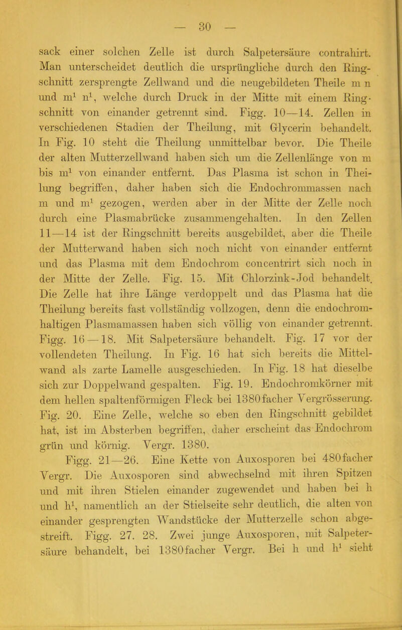 sack einer solchen Zelle ist durch Salpetersäure contrahirt. Man unterscheidet deutlich die ursprüngliche durch den Ring- schnitt zersprengte Zellwand und die neugebildeten Theile m n und m1 n1, av eiche durch Druck in der Mitte mit einem Iiing- schnitt von einander getrennt sind. Figg. 10—14. Zellen in verschiedenen Stadien der Theilimg, mit Glycerin behandelt. In Fig. 10 steht che Theilung unmittelbar bevor. Die Theile der alten Mutterz eilwand haben sich um die Zellenlänge von m bis m1 von einander entfernt. Das Plasma ist schon in Thei- lung begriffen, daher haben sich die Endochrommassen nach m und m1 gezogen, werden aber in der Mitte der Zelle noch durch eine Plasmabrücke zusammengehalten. In den Zellen 11—14 ist der Ringschnitt bereits ausgebildet, aber die Theile der Muttenvand haben sich noch nicht Aron einander entfeint und das Plasma mit dem Endochrom concentrirt sich noch in der Mitte der Zelle. Fig. 15. Mit Chlorzink-Jod behandelt Die Zelle hat ihre Länge verdoppelt und das Plasma hat che Theiliuig bereits fast vollständig vollzogen, denn die endochrom- haltigen Plasmamassen haben sich völlig von einander getrennt. Figg. 16 —18. Mit Salpetersäure behandelt. Fig. 17 vor der vollendeten Theilung. In Fig. 16 hat sich bereits che Mittel- wand als zarte Lamelle ausgeschieden. In Fig. 18 hat dieselbe sich zur Doppelwand gespalten. Fig. 19. Endochromkörner mit dem hellen spaltenförmigen Fleck bei 1380facher \ ergrösserung. Fig. 20. Eine Zelle, welche so eben den Ringschnitt gebildet hat, ist im Absterben begriffen, daher erscheint das Endochrom grün und körnig. Yergr. 1380. Figg. 21—26. Eine Kette von Auxosporen bei 480faclier Yergr. Die Auxosporen sind abAvechselnd mit ihren Spitzen und mit ihren Stielen einander zugeAvendet und haben bei h und h1, namentlich an der Stielseite sehr deutlich, che alten von einander gesprengten Wandstücke der Mutterzelle schon abge- streift. Figg. 27. 28. Zwei junge Auxosporen, mit Salpeter- säure behandelt, bei 1380f'acher Yergr. Bei h und h1 sieht