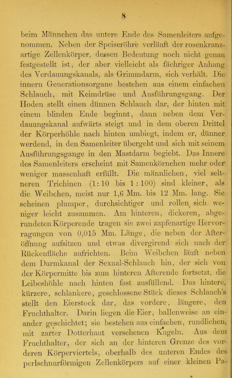 s beim IVrimnclicn das nnt.cre Ende des Samenleiters an%e- nommen. Neben der Speiserölire verläuft der rosenkranz- artige Zellenkörper, degsen Bedeutung noch nicht genau festgestellt ist, der aber vielleicht als fächriger Anhang des Verdauungskauais, als Grimmdarm, sich verhält. Die innern Generationsorgane bestehen aus einem einfachen Schlauch, mit Keimdrüse und Ausführungsgang. Der Hoden stellt einen dünnen Schlauch dar, der hinten mit einem blinden Ende beginnt, dann neben dem Ver- dauungskanal aufwärts steigt und in dem oberen Drittel der Körperhöhle nach hinten umbiegt, indem er, dünner werdend, in den Samenleiter übergeht und sich mit seinem Ausführungsgange in den Mastdarm begiebt. Das Innere des Samenleiters erscheint mit Samenkörnchen mehr oder weniger massenhaft erfüllt. Die männlichen, viel selt- neren Trichinen (1:10 bis 1:100) sind kleiner, als die Weibchen, meist nur 1,6 Mm. bis 12 Mm. lang. Sie scheinen plumper, durchsichtiger imd rollen sich we- niger leicht zusammen. Am hinteren, dickeren., abge- rundeten Körperende tragen sie zwei zapfenartige Hervor- ragungen von 0,015 Mm. Länge, die neben der After- öffnung aufsitzen und etwas divergirend sich nach der Rückenfläche aufrichten. Beim Weibchen läuft neben dem Darmkanal der Sexual-Schlauch hin, der sich von der Körpermitte bis zum hinteren Afterende fortsetzt, die Leibeshöhle nach hinten fast ausfüllend. Das hintere, kürzere, schlankere, geschlossene Stück dieses Schlauch’s stellt den Eierstock dar, das vordere, längere, den Fruchthalter. Darin liegen die Eier, ballenweise an ein- ander pfeschichtet: sie bestehenauseinfachen, rundlichen, mit zarter Dotterhaut versehenen Kugeln. Aus dem Fruchthalter, der sich an der hinteren Grenze des vor- deren Körpervierteis, oberhalb des unteren Endes des perlschnurförmigen Zellenkörpers auf einer kleinen Pa-