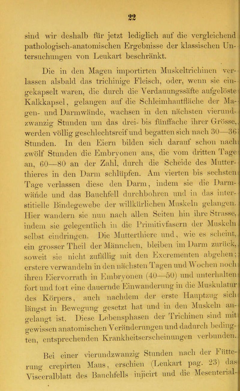 sind wir deislialb iiir jetzt lediglich auf die vergleiclieiul pathologisch-anatomischen Ergebnisse der klassischen Un- tersuchimu’en von Leukart beschränkt. o Die in den Magen importirten Miiskeltrichinen ver- lassen alsbald das trichinige Fleisch, oder, wenn sie ein- gekapselt waren, die diu-ch die Verdauungssäfte aufgelöste Kalkkapsel, gelangen auf die Schleindiautfläche der i\Ia- sren- und Darinwände, ivachsen in den nächsten vierund- zwanzig Stunden um das drei- bis fUnlfache ihrer Grösse, werden völlig geschlechtsreif und begatten sich nach 30—36 Stunden. In den Eiern bilden sich darauf schon nach zwölf Stunden die Embryonen aus, die vom dritten Tage 60—80 an der Zahl, durch die Scheide des Mutter- thieres in den Darm schlüpfen. Am vierten bis sechsten Tage verlassen diese den Darm, indem sie die Darm- wähde und das Bauchfell durchbohren und in das inter- stitielle Bindegewebe der willkürlichen Muskeln gelangen. Hier wandern sie nun nach allen Seiten hin ihre Strasse, indem sie p'ele^’entlich in die Primitivtasern der Muskeln selbst eindringen. Die Mutterthiere und, wie es scheint, ein grosser Theil der Männchen, bleiben nn Dann zuiück, soweit sie nicht zutallig mit den Excrementen abgehen; erstere verwandeln in den nächsten lagen und M ochen noch ihren Eiervorrath in Einbryonen (40 50) und untei halten fort und fort eine dauernde Einwanderung in die Muskiilatin des Körpers, auch nachdem der erste Hauptzug sich längst in Bewegung gesetzt hat und in den Muskeln an- gelegt ist. Diese Lebensphasen der Trichinen sind mit gewissen anatomischen Veränderungen und dadurch beding- ten, entsprechenden Krankheitserscheinungen verbunden. Bei einer Herundzwanzig Stunden nach der I ütte- rinig crepirten Maus, erschien (Leukart ^ pag. 23) das Visceralblatt des Bauchfells injicirt und die Mesenterial-