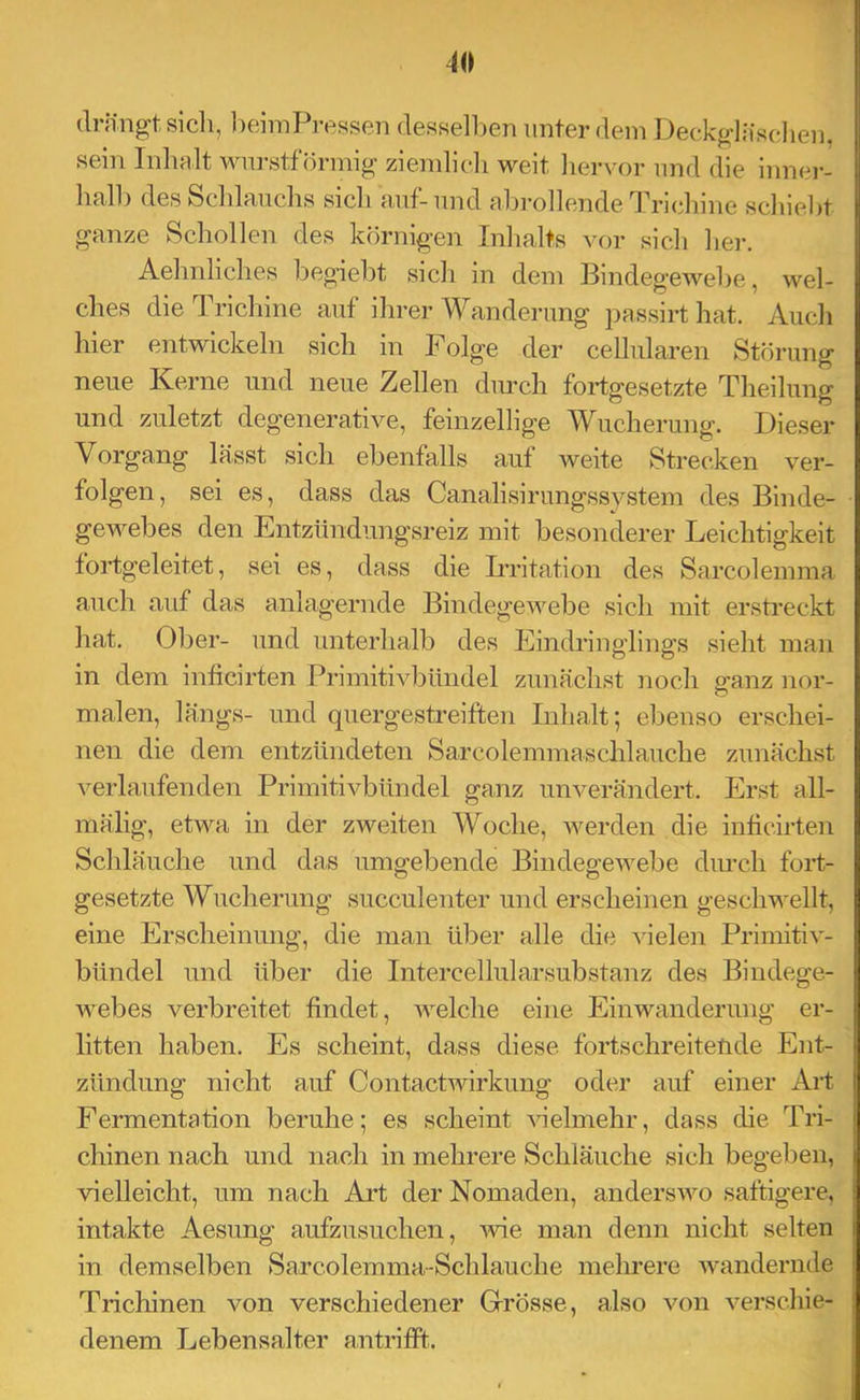drlingt, sicli, beimPressen (lessell)en unter dem Deckglüsclieu. sein Inhult wurstförmig ziemlich weit liervor und die inner- lialb desSchlauchs sich auf-und abi-ollende Tricliine sdiiebt ganze Schollen des körnigen Inhalts vor sich her. Aehnliches begiebt sich in dem Bindegewebe, wel- ches die Trichine auf ihrer Wanderung passirthat. Auch hier entwickeln sich in Folge der cellularen Störung neue Kerne und neue Zellen durch fortgesetzte Theilung und zuletzt degenerative, feinzellige Wucherung. Dieser Vorgang lässt sich ebenfalls auf weite Strecken ver- folgen, sei es, dass das Canalisirungssystem des Binde- gewebes den Entzündungsreiz mit besonderer Leichtigkeit fortgeleitet, sei es, dass die LTitation des Sarcolemma auch auf das anlagernde Bindegewebe sich mit erstreckt hat. Ober- und unterhalb des Eindi’inglings sieht inan in dem inticirten Primitivbündel zunächst noch ganz nor- malen, längs- und quergestreiften Inhalt; ebenso erschei- nen die dem entzündeten Sarcolemmaschlauche zunächst verlaufenden Primitivbündel ganz unverändert. Erst all- mälig, etwa in der zweiten Woche, werden die inticirten Schläuche und das umgebende Bindegewebe diu’ch fort- gesetzte Wucherung succulenter und erscheinen geschwellt, eine Erscheinung, die man über alle die vielen Primitiv- bündel und über die Intercellularsubstanz des Bindege- Avebes verbreitet findet, welche eine Einwanderung er- litten haben. Es scheint, dass diese fortschreitende Ent- zündung nicht auf Contactwirkung oder auf einer x4rt Fermentation beruhe; es scheint Auelmehr, dass die Tri- chinen nach und nach in mehrere Schläuche sich begeben, vielleicht, um nach Art der Nomaden, anderswo saftigere, intakte Aesimg aufzusuchen, ivie man denn nicht selten in demselben Sarcolemma-Schlauche mehrere Avandernde Trichinen von verschiedener Glrösse, also von A^erschie- denem Lebensalter antrifft.