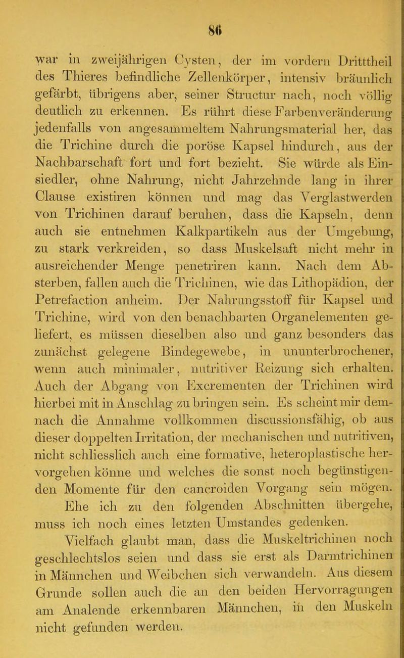 HU war iu zweijährigen Cysten, der im vordem Dritttlieil des Thieres befindliche Zellenkörper, intensiv bräunlich gefärbt, übrigens aber, seiner Striictur nach, noch völlig deutlich zu erkennen. Es rührt diese Farbenveränderung jedenfalls von angesammeltem Nahrungsmaterial her, das die Trichine durch die poröse Kapsel hindurch, aus der Nachbarschaft fort und fort bezieht. Sie würde als Ein- siedler, ohne Nahrung, nicht Jahrzehn de lang in ihrer Clause existiren können und mag das Verglastwerden von Trichinen darauf beruhen, dass die Kapseln, denn auch sie entnehmen Kalkpartikeln aus der Umgebung, zu stark verkreiden, so dass Muskelsaft nicht mehr in ausreichender Menge penetriren kann. Nach dem Ab- sterben, fallen auch die Trichinen, wie das Lithopädiou, der Petrefaction anheim. Der Nahmngsstoff für Kapsel und Trichine, wird von den benachbarten Organelementen ge- liefert, es müssen dieselben also und ganz besonders das zunächst gelegene Bindegewebe, in ununterbrochener, wenn auch minimaler, nutritiver Reizung sich erhalten. Auch der Abgang von Excrementen der Trichinen wird hierbei mit in Anschlag zu bringen sein. Es scheint mir dem- nach die Annahme vollkommen discussionsfähig, ob aus dieser doppelten Irritation, der mechanischen und nutritiven, nicht schliesslich auch eine formative, heteroplastische her- vorgehen könne und welches die sonst noch begünstigen- i den Momente für den cancroiden Vorgang sein mögen. I Ehe ich zu den folgenden Abschnitten übergehe, muss ich noch eines letzten Umstandes gedenken. Vielfach glaubt man, dass die Muskel tri chinen noch geschlechtslos seien und dass sie erst als Darmtrichinen in Männchen und Weibchen sich verwandeln. Aus diesem Grunde sollen auch die an den beiden Hervorragungen am Analende erkennbaren Männchen, iii den Muskeln nicht gefunden werden.