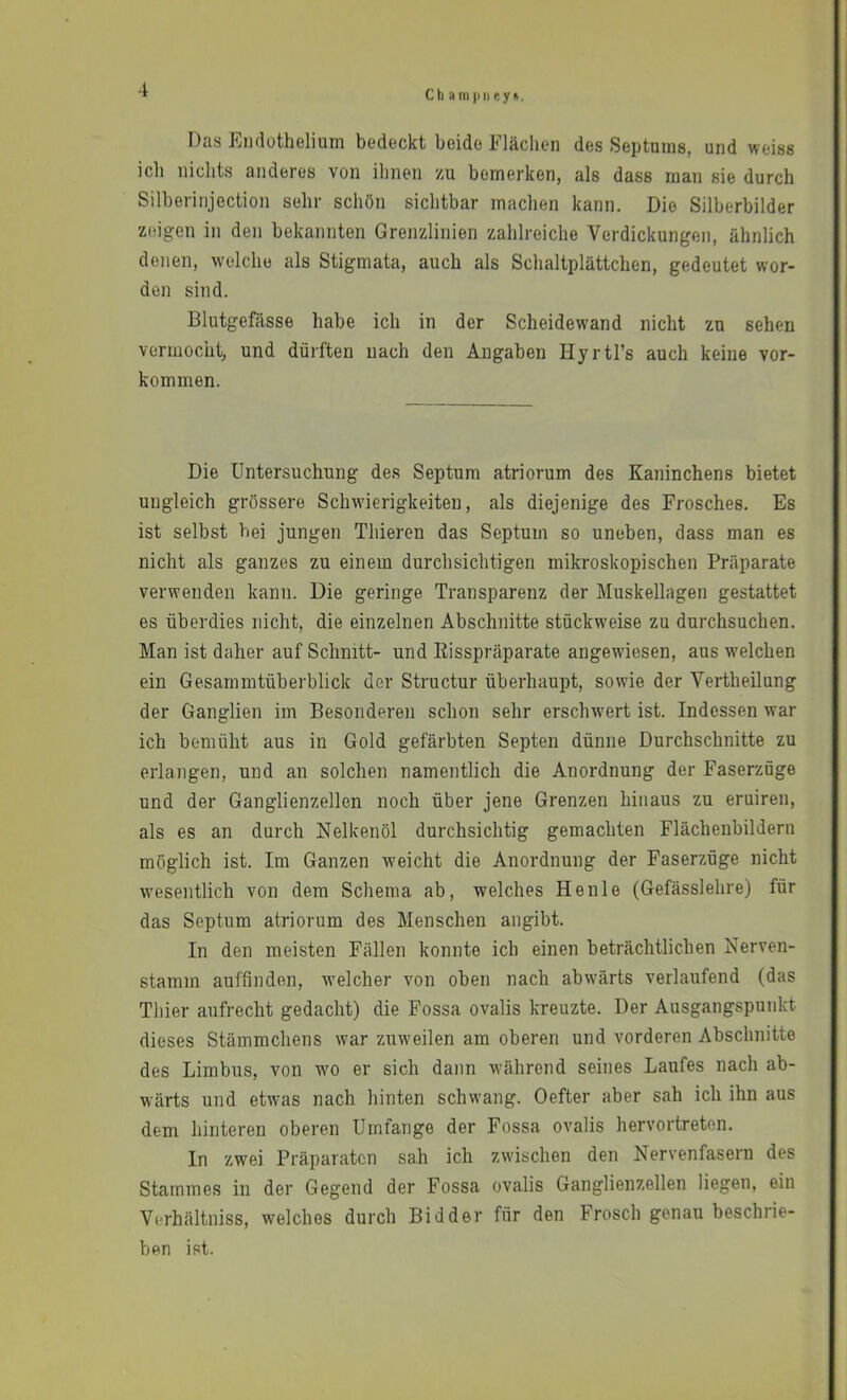 C)i ani (ineyft. Das Eiidüthelium bedeckt beide Flächen des Septnras, und weiss ich nichts anderes von ihnen zu bemerken, als dass man sie durch Silberinjection sehr schön sichtbar machen kann. Die Silberbilder zeigen in den bekannten Grenzlinien zahlreiche Verdickungen, ähnlich denen, welche als Stigmata, auch als Schaltplättchen, gedeutet wor- den sind. Blutgefässe habe ich in der Scheidewand nicht zu sehen vermocht, und dürften nach den Angaben Hyrtl’s auch keine Vor- kommen. Die Untersuchung des Septum atriorum des Kaninchens bietet ungleich grössere Schwierigkeiten, als diejenige des Frosches. Es ist selbst bei jungen Thieren das Septum so uneben, dass man es nicht als ganzes zu einem durchsichtigen mikroskopischen Präparate verwenden kann. Die geringe Transparenz der Muskellagen gestattet es überdies nicht, die einzelnen Abschnitte stückweise zu durchsuchen. Man ist daher auf Schnitt- und Eisspräparate angewiesen, aus welchen ein Gesammtüberblick der Structur überhaupt, sowie der Vertheilung der Ganglien im Besonderen schon sehr erschwert ist. Indessen war ich bemüht aus in Gold gefärbten Septen dünne Durchschnitte zu erlangen, und an solchen namentlich die Anordnung der Faserzüge und der Ganglienzellen noch über jene Grenzen hinaus zu eruiren, als es an durch Nelkenöl durchsichtig gemachten Flächenbildern möglich ist. Im Ganzen weicht die Anordnung der Faserzüge nicht wesentlich von dem Schema ab, welches Henle (Gefässlehre) für das Septum atriorum des Menschen angibt. In den meisten Fällen konnte ich einen beträchtlichen Nerven- stamm auffinden, w^elcher von oben nach abwärts verlaufend (das Thier aufrecht gedacht) die Fossa ovalis kreuzte. Der Ausgangspunkt dieses Stämmchens war zuweilen am oberen und vorderen Abschnitte des Limbus, von wo er sich dann wührend seines Laufes nach ab- wärts und etwas nach hinten schwang. Oefter aber sah ich ihn aus dem hinteren oberen Umfange der Fossa ovalis hervortreten. In zwei Präparaten sah ich zwischen den Nervenfasern des Stammes in der Gegend der Fossa ovalis Ganglienzellen liegen, ein Verhältniss, welches durch Bidder für den Frosch genau beschrie- ben ist.