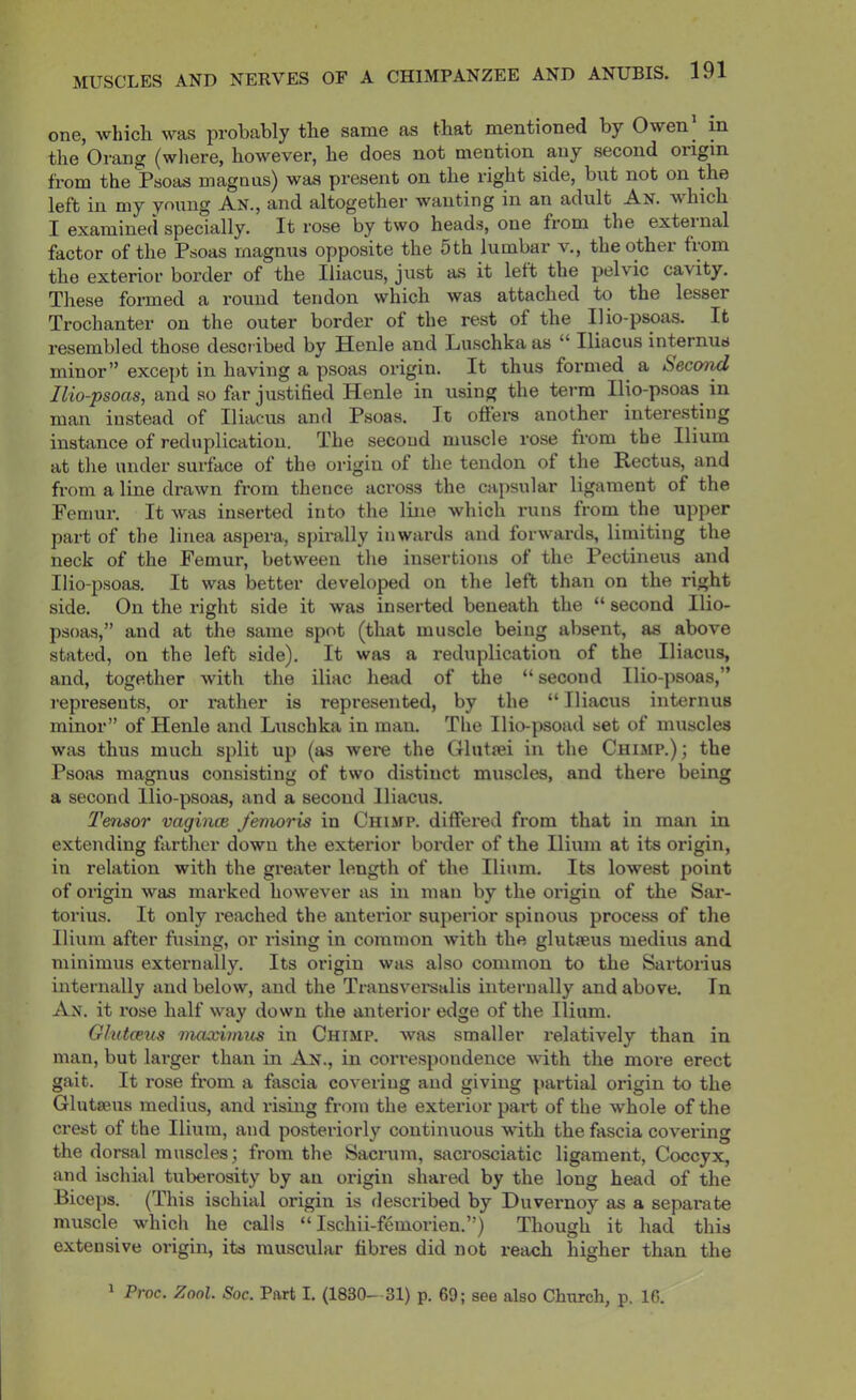 one, which was probably the same as that mentioned by Owen| in the Orang (where, however, he does not mention any second oiigin from the Psoas magnixs) was present on the right side, but not on the left in my young An., and altogether wanting in an adult An. which I examined specially. It rose by two heads, one from the exteinal factor of the Psoas rnagnus opposite the 5th lumbar v., the other from the exterior border of the Iliacus, jxxst as it left the pelvic cavity. These formed a round tendon which was attached to the lesser Trochanter on the outer border of the rest of the Ilio-psoas. It resembled those described by Henle and Luschka as “ Iliacus internus minor” except in having a psoas origin. It thus formed a Second llio-psoas, and so far justified Henle in using the terra Ilio-psoas in man instead of Iliacus and Psoas. It ofi’ers another interesting instance of reduplication. The second muscle rose from the Ilium at the under surface of the origin of the tendon of the Rectus, and from a line drawn from thence across the capsular ligament of the Femur. It was inserted into the line which runs from the upper part of the linea aspera, spirally inwai’ds and forwaixls, limiting the neck of the Femur, between the insertions of the Pectineus and Ilio-psoas. It was better developed on the left than on the right side. On the right side it was inserted beneath the “ second Ilio- psoas,” and at the same spot (that muscle being absent, as above stated, on the left side). It was a reduplication of the Iliacus, and, together with the iliac head of the “ second Ilio-psoas,” represents, or mther is represented, by the “ Iliacus internus minor” of Henle and Luschka in man. The Ilio-psoad set of muscles was thus much split up (as were the Glufsei in the Chimp.); the Psoas magnus consisting of two distinct muscles, and there being a second Ilio-psoixs, and a second Iliacus. Tensor vagince femoris in Chimp, differed from that in man in extending farther down the exterior border of the Ilium at its origin, in relation with the greater length of the Ilium. Its lowest point of origin was marked however as in man by the origin of the Sar- torius. It only reached the anterior superior spinous process of the Ilium after fusing, or rising in common with the glutieus medius and minimus externally. Its origin was also common to the Sartorius internally and below, and the Transverealis internally and above. In An. it rose half way down the anterior edge of the Ilium. Glutceus maximus in Chimp, was smaller I'elatively than in man, but larger than in An., in correspondence with the more erect gait. It rose from a fascia covering and giving partial origin to the Glutseus medius, and rising from the exterior part of the whole of the crest of the Ilium, and posteriorly continuous vdth the fascia covering the dorsal muscles; from the Sacrum, sacrosciatic ligament. Coccyx, and ischial tuberosity by an origin shared by the long head of the Biceps. (This ischial origin is described by Duvernoy as a separate muscle which he calls “ Ischii-femorien.”) Though it had this extensive origin, its muscular fibres did not reach higher than the ^ Proc. Zool. Soc. Part I. (1830—-31) p. 69; see also Church, p. 16.