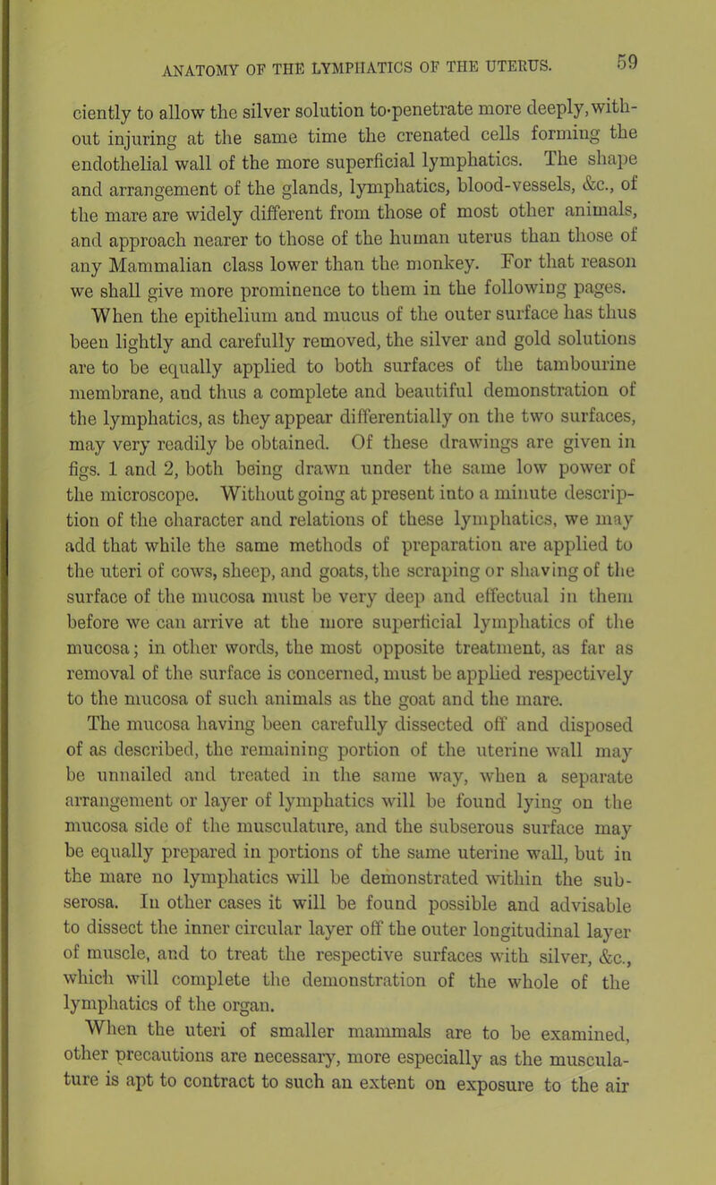 ciently to allow the silver solution to*penetrate more deeply,with- out injuring at the same time the crenated cells forming the endothelial wall of the more superficial lymphatics. The shape and arrangement of the glands, lymphatics, blood-vessels, &c., of the mare are widely different from those of most other animals, and approach nearer to those of the human uterus than those of any Mammalian class lower than the monkey. Tor that reason we shall give more prominence to them in the following pages. When the epithelium and mucus of the outer surface has thus been lightly and carefully removed, the silver and gold solutions are to be equally applied to both surfaces of the tambourine membrane, and thus a complete and beautiful demonstration of the lymphatics, as they appear differentially on the two surfaces, may very readily be obtained. Of these drawings are given in figs. 1 and 2, both being drawn under the same low power of the microscope. Without going at present into a minute descrip- tion of the character and relations of these lymphatics, we may add that while the same methods of preparation are applied to the uteri of cows, sheep, and goats, the scraping or shaving of the surface of the mucosa must be very deep and effectual in them before we can arrive at the more superficial lymphatics of the mucosa; in other words, the most opposite treatment, as far as removal of the surface is concerned, must be applied respectively to the mucosa of such animals as the goat and the mare. The mucosa having been carefully dissected off and disposed of as described, the remaining portion of the uterine wall may be unnailed and treated in the same way, when a separate arrangement or layer of lymphatics will be found lying on the mucosa side of the musculature, and the subserous surface may be equally prepared in portions of the same uterine wall, but in the mare no lymphatics will be demonstrated within the sub- serosa. In other cases it will be found possible and advisable to dissect the inner circular layer off' the outer longitudinal layer of muscle, and to treat the respective surfaces with silver, &c., which will complete the demonstration of the whole of the lymphatics of the organ. When the uteri of smaller mammals are to be examined, other precautions are necessary, more especially as the muscula- ture is apt to contract to such an extent on exposure to the air