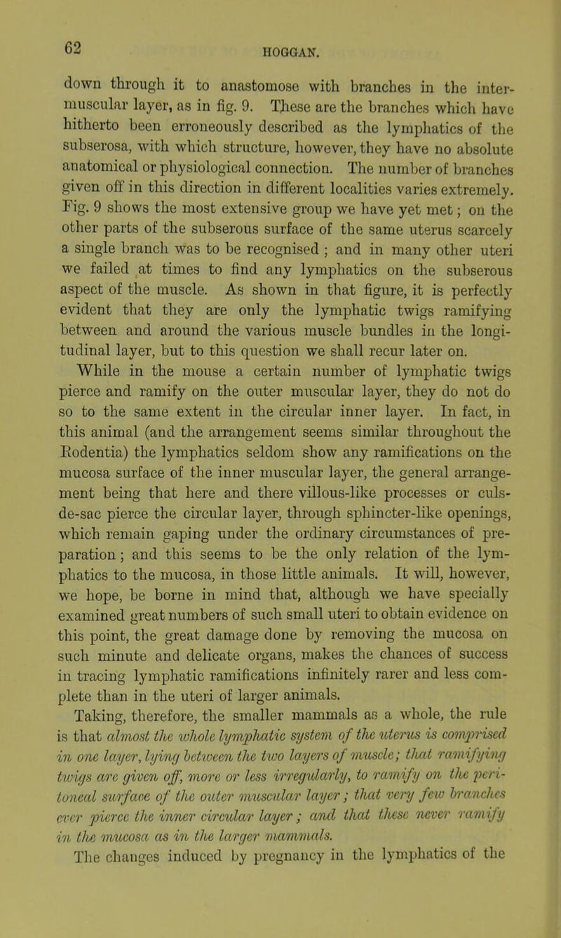 down through it to anastomose with branches in the inter- muscular layer, as in fig. 9. These are the branches which have hitherto been erroneously described as the lymphatics of the subserosa, with which structure, however, they have no absolute anatomical or physiological connection. The number of branches given off in this direction in different localities varies extremely. Fig. 9 shows the most extensive group we have yet met; on the other parts of the subserous surface of the same uterus scarcely a single branch was to be recognised ; and in many other uteri we failed at times to find any lymphatics on the subserous aspect of the muscle. As shown in that figure, it is perfectly evident that they are only the lymphatic twigs ramifying between and around the various muscle bundles in the longi- tudinal layer, but to this question we shall recur later on. While in the mouse a certain number of lymphatic twigs pierce and ramify on the outer muscular layer, they do not do so to the same extent in the circular inner layer. In fact, in this animal (and the arrangement seems similar throughout the Eodentia) the lymphatics seldom show any ramifications on the mucosa surface of the inner muscular layer, the general arrange- ment being that here and there villous-like processes or culs- de-sac pierce the circular layer, through sphincter-like openings, which remain gaping under the ordinary circumstances of pre- paration ; and this seems to be the only relation of the lym- phatics to the mucosa, in those little animals. It will, however, we hope, be borne in mind that, although we have specially examined great numbers of such small uteri to obtain evidence on this point, the great damage done by removing the mucosa on such minute and delicate organs, makes the chances of success in tracing lymphatic ramifications infinitely rarer and less com- plete than in the uteri of larger animals. Taking, therefore, the smaller mammals as a whole, the rule is that almost the lohole lymphatic system of the uterus is comprised in one layer, lying behoeen the two layers of muscle; that ramifying twigs are given off, more or less irregularly, to ramify on the peri- toneal surface of the outer muscular layer; that very few branches ever pierce the inner circular layer ; and that these never ramify in the mucosa as in the larger mammals. The changes induced by pregnancy in the lymphatics of the