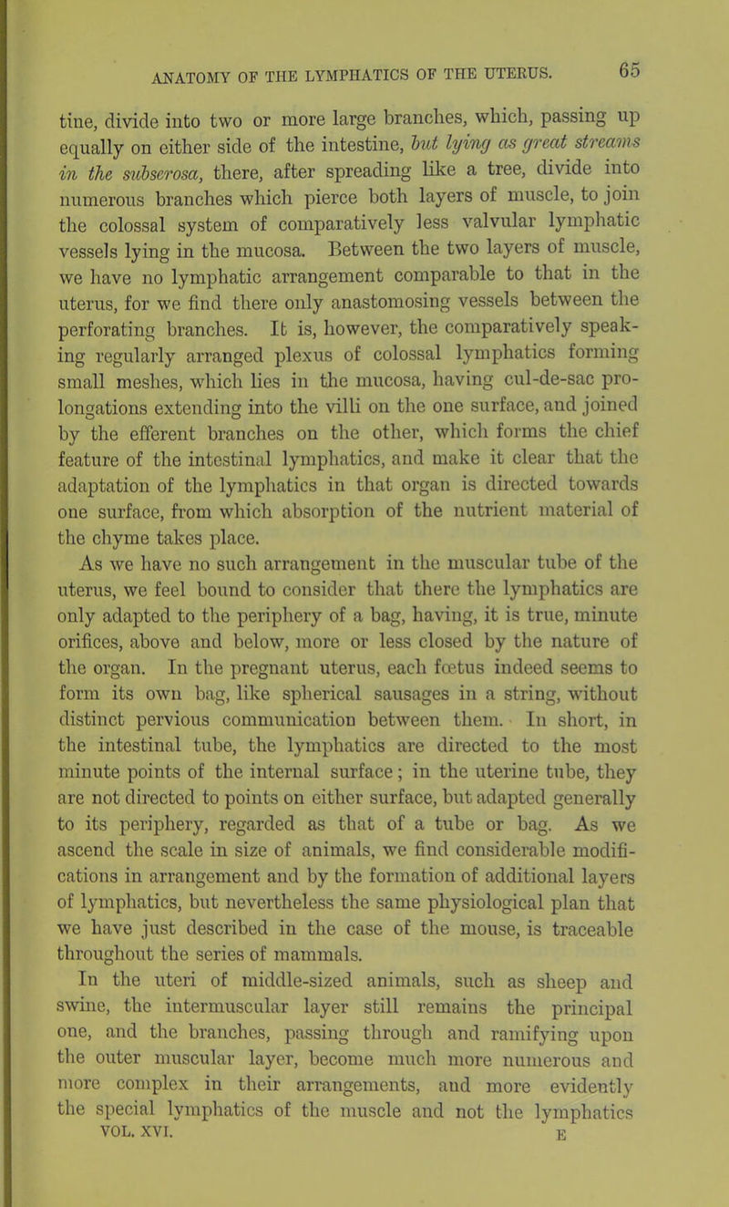tine, divide into two or more large branches, which, passing up equally on either side of the intestine, but lying as great streams in the subserosa, there, after spreading like a tree, divide into numerous branches which pierce both layers of muscle, to join the colossal system of comparatively less valvular lymphatic vessels lying in the mucosa. Between the two layers of muscle, we have no lymphatic arrangement comparable to that in the uterus, for we find there only anastomosing vessels between the perforating branches. It is, however, the comparatively speak- ing regularly arranged plexus of colossal lymphatics forming small meshes, which lies in the mucosa, having cul-de-sac pro- longations extending into the villi on the one surface, and joined by the efferent branches on the other, which forms the chief feature of the intestinal lymphatics, and make it clear that the adaptation of the lymphatics in that organ is directed towards one surface, from which absorption of the nutrient material of the chyme takes place. As we have no such arrangement in the muscular tube of the uterus, we feel bound to consider that there the lymphatics are only adapted to the periphery of a bag, having, it is true, minute orifices, above and below, more or less closed by the nature of the organ. In the pregnant uterus, each fetus indeed seems to form its own bag, like spherical sausages in a string, without distinct pervious communication between them. In short, in the intestinal tube, the lymphatics are directed to the most minute points of the internal surface; in the uterine tube, they are not directed to points on either surface, but adapted generally to its periphery, regarded as that of a tube or bag. As we ascend the scale in size of animals, we find considerable modifi- cations in arrangement and by the formation of additional layers of lymphatics, but nevertheless the same physiological plan that we have just described in the case of the mouse, is traceable throughout the series of mammals. In the uteri of middle-sized animals, such as sheep and swine, the intermuscular layer still remains the principal oue, and the branches, passing through and ramifying upon the outer muscular layer, become much more numerous and more complex in their arrangements, and more evidently the special lymphatics of the muscle and not the lymphatics VOL. xvi. E