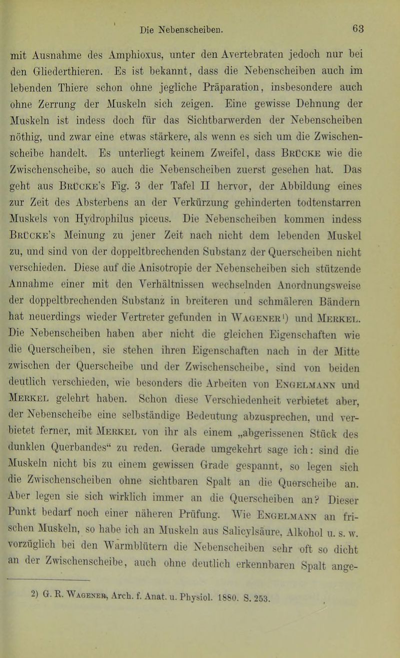 mit Ausnahme des Amphioxus, unter den Avertebraten jedoch nur hei den Gliederthieren. Es ist bekannt, dass die Nebenscheiben auch im lebenden Thiere schon ohne jegliche Präparation, insbesondere auch ohne Zerrung der Muskeln sich zeigen. Eine gewisse Dehnung der Muskeln ist indess doch für das Sichtbarwerden der Nebenscheiben nöthig, und zwar eine etwas stärkere, als wenn es sich um die Zwischen- scheibe handelt. Es unterliegt keinem Zweifel, dass Brücke wie die Zwischenscheibe, so auch die Nebenscheiben zuerst gesehen hat. Das geht aus Brücke's Fig. 3 der Tafel II hervor, der Abbildung eines zur Zeit des Absterbens an der Verkürzung gehinderten todtenstarren Muskels von Hydrophilus piceus. Die Nebenscheiben kommen indess Brücke’s Meinung zu jener Zeit nach nicht dem lebenden Muskel zu, und sind von der doppeltbrechenden Substanz der Querscheiben nicht verschieden. Diese auf die Anisotropie der Nebenscheiben sich stützende Annahme einer mit den Verhältnissen wechselnden Anordnungsweise der doppeltbrechenden Substanz in breiteren und schmäleren Bändern hat neuerdings wieder Vertreter gefunden in Wagener1) und Merkel. Die Nebenscheiben haben aber nicht die gleichen Eigenschaften wie die Querscheiben, sie stehen ihren Eigenschaften nach in der Mitte zwischen der Querscheibe und der Zwischenscheibe, sind von beiden deutlich verschieden, wie besonders die Arbeiten von Engelmann und Merkel gelehrt haben. Schon diese Verschiedenheit verbietet aber, der Nebenscheibe eine selbständige Bedeutung abzusprechen, und ver- bietet ferner, mit Merkel von ihr als einem „abgerissenen Stück des dunklen Querbandes“ zu reden. Gerade umgekehrt sage ich: sind die Muskeln nicht bis zu einem gewissen Grade gespannt, so legen sich die Zwischenscheiben ohne sichtbaren Spalt an die Querscheibe an. Aber legen sie sich wirklich immer an die Querscheiben an? Dieser Punkt bedarf noch einer näheren Prüfung. Wie Engelmann an fri- schen Muskeln, so habe ich an Muskeln aus Salicylsaure, Alkohol u. s. w. vorzüglich bei den Warmblütern die Nebenscheiben sehr oft so dicht an der Zwischenscheibe, auch ohne deutlich erkennbaren Spalt ange- 2) G. R. Wagener, Arch. f. Anat. u. Physiol. 1880. S. 253.