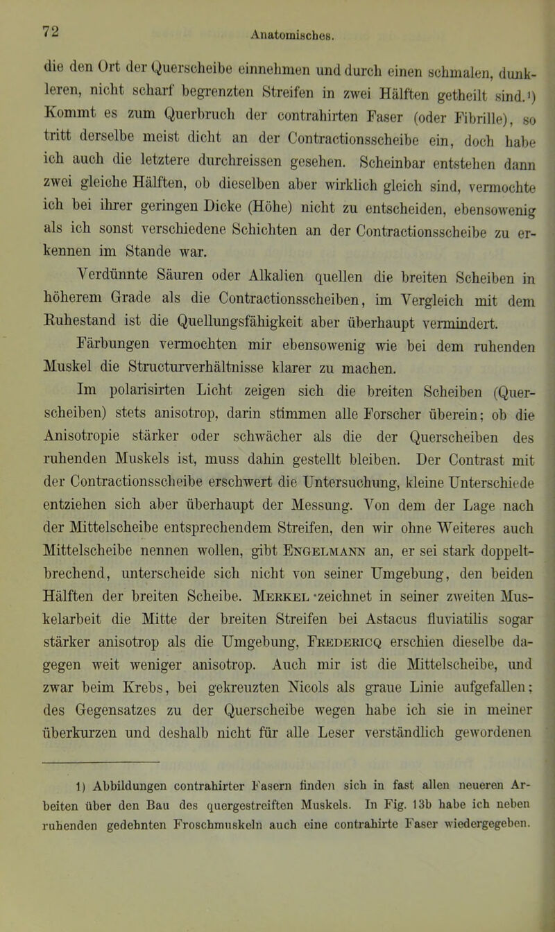 die den Ort der Querscheibe einnehmen und durch einen schmalen, dunk- leren, nicht scharf begrenzten Streifen in zwei Hälften getheilt sind.1) Kommt es zum Querbruch der contrahirten Faser (oder Fibrille), so tritt derselbe meist dicht an der Contractionsscheibe ein, doch habe ich auch die letztere durclireissen gesehen. Scheinbar entstehen dann zwei gleiche Hälften, ob dieselben aber wirklich gleich sind, vermochte ich bei ihrer geringen Dicke (Höhe) nicht zu entscheiden, ebensowenig als ich sonst verschiedene Schichten an der Contractionsscheibe zu er- kennen im Stande war. Verdünnte Säuren oder Alkalien quellen die breiten Scheiben in höherem Grade als die Contractionsscheiben, im Vergleich mit dem Ruhestand ist die Quellungsfähigkeit aber überhaupt vermindert. Färbungen vermochten mir ebensowenig wie bei dem ruhenden Muskel die Structurverhältnisse klarer zu machen. Im polarisirten Licht zeigen sich die breiten Scheiben (Quer- scheiben) stets anisotrop, darin stimmen alle Forscher überein; ob die Anisotropie stärker oder schwächer als die der Querscheiben des ruhenden Muskels ist, muss dahin gestellt bleiben. Der Contrast mit der Contractionsscheibe erschwert die Untersuchung, kleine Unterschiede entziehen sich aber überhaupt der Messung. Von dem der Lage nach der Mittelscheibe entsprechendem Streifen, den wir ohne Weiteres auch Mittelscheibe nennen wollen, gibt Engelmakn an, er sei stark doppelt- brechend, unterscheide sich nicht von seiner Umgebung, den beiden Hälften der breiten Scheibe. Merkel -zeichnet in seiner zweiten Mus- kelarbeit die Mitte der breiten Streifen bei Astacus fluviatilis sogar stärker anisotrop als die Umgebung, Fredericq erschien dieselbe da- gegen weit weniger anisotrop. Auch mir ist die Mittelscheibe, und zwar beim Krebs, bei gekreuzten Nicols als graue Linie aufgefallen: des Gegensatzes zu der Querscheibe wegen habe ich sie in meiner überkurzen und deshalb nicht für alle Leser verständlich gewordenen 1) Abbildungen contrahirter Fasern finden sieb in fast allen neueren Ar- beiten über den Bau des quergestreiften Muskels. In Fig. 13b habe ich neben ruhenden gedehnten Froschmuskeln auch eine contrahirte Faser wiedergegeben.