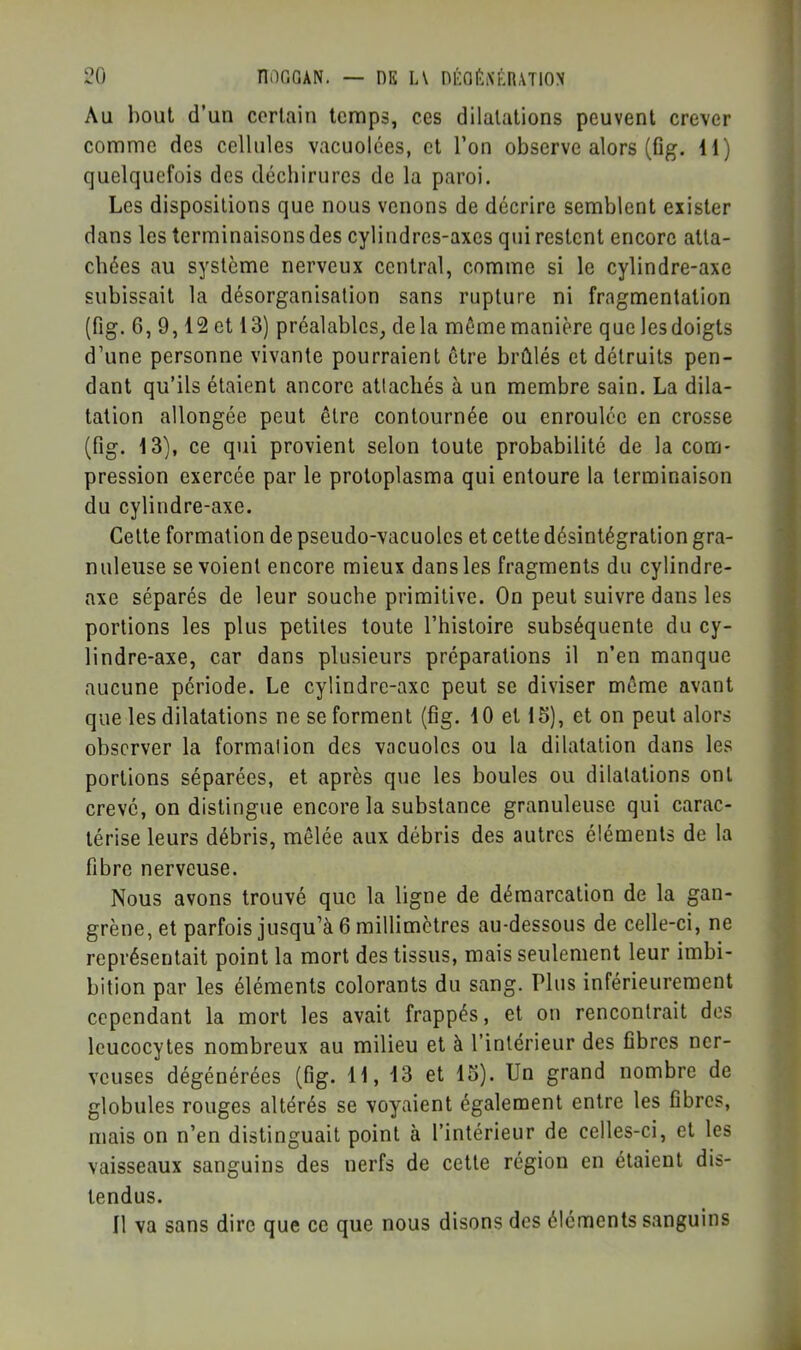 Au bout d’un corlain temps, ces dilatations peuvent crever comme des cellules vacuolées, et l’on observe alors (fig. 11) quelquefois des déchirures de la paroi. Les dispositions que nous venons de décrire semblent exister dans les terminaisons des cylindres-axes qui restent encore atta- chées au système nerveux central, comme si le cylindre-axe subissait la désorganisation sans rupture ni fragmentation (fig. 6, 9,12 et 13) préalables, delà même manière que lesdoigts d’une personne vivante pourraient être brûlés et détruits pen- dant qu’ils étaient ancore attachés à un membre sain. La dila- tation allongée peut être contournée ou enroulée en crosse (fig. 13), ce qui provient selon toute probabilité de la com- pression exercée par le protoplasma qui entoure la terminaison du cylindre-axe. Cette formation de pseudo-vacuoles et cette désintégration gra- nuleuse se voient encore mieux dans les fragments du cylindre- axe séparés de leur souche primitive. On peut suivre dans les portions les plus petites toute l’histoire subséquente du cy- lindre-axe, car dans plusieurs préparations il n’en manque aucune période. Le cylindre-axe peut se diviser même avant que les dilatations ne se forment (fig. 10 et 15), et on peut alors observer la formation des vacuoles ou la dilatation dans les portions séparées, et après que les boules ou dilatations ont crevé, on distingue encore la substance granuleuse qui carac- térise leurs débris, mêlée aux débris des autres éléments de la fibre nerveuse. Nous avons trouvé que la ligne de démarcation de la gan- grène, et parfois jusqu’à 6 millimètres au-dessous de celle-ci, ne représentait point la mort des tissus, mais seulement leur imbi- bition par les éléments colorants du sang. Plus inférieurement cependant la mort les avait frappés, et on rencontrait dos leucocytes nombreux au milieu et à l’intérieur des fibres ner- veuses dégénérées (fig. 11, 13 et 15). Un grand nombre de globules rouges altérés se voyaient également entre les fibres, mais on n’en distinguait point à l’intérieur de celles-ci, et les vaisseaux sanguins des nerfs de cette région en étaient dis- tendus. Il va sans dire que ce que nous disons des éléments sanguins