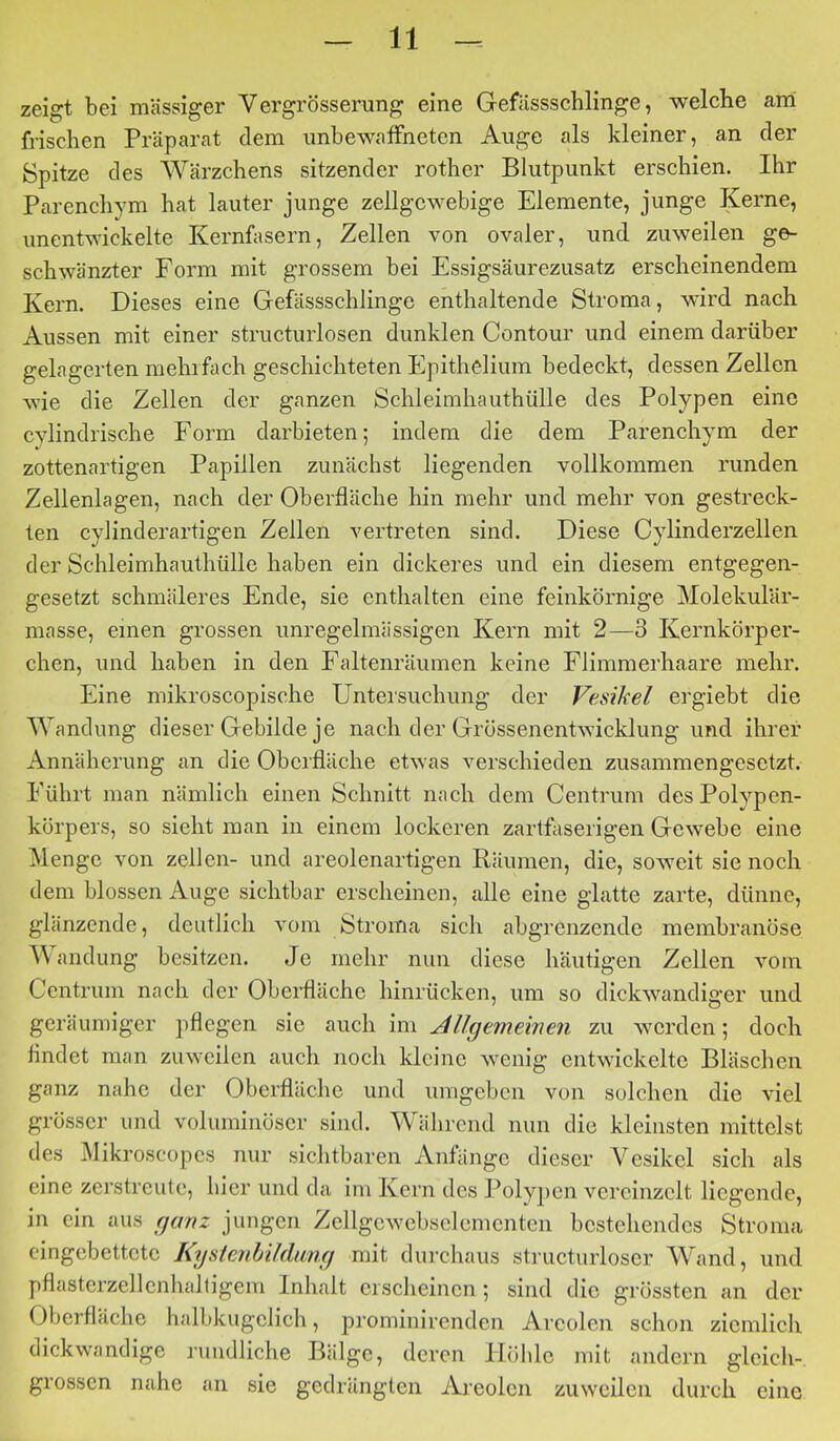 zeigt bei massiger Vergrösserung eine Gefässschlinge, welche arri frischen Präparat dem unbewaffneten Auge als kleiner, an der Spitze des Wärzchens sitzender rother Blutpunkt erschien. Ihr Parenchym hat lauter junge zellgcwebige Elemente, junge Kerne, unentwickelte Kernfasern, Zellen von ovaler, und zuweilen ge- schwänzter Form mit grossem bei Essigsäurezusatz erscheinendem Kern. Dieses eine Gefässschlinge enthaltende Stroma, wird nach Aussen mit einer structurlosen dunklen Contour und einem darüber gelagerten mehifach geschichteten Epithelium bedeckt, dessen Zellen wie die Zellen der ganzen Schleimhauthülle des Polypen eine cylindrische Form darbieten; indem die dem Parenchym der zottenartigen Papillen zunächst liegenden vollkommen runden Zellenlagen, nach der Oberfläche hin mehr und mehr von gestreck- ten cylinderartigen Zellen vertreten sind. Diese Cylinderzellen der Schleimhauthülle haben ein dickeres und ein diesem entgegen- gesetzt schmäleres Ende, sie enthalten eine feinkörnige Molekulär- masse, einen grossen unregelmässigen Kern mit 2—3 Kernkörper- chen, und haben in den Faltenräumen keine Flimmerhaare mehr. Eine mikroscopische Untersuchung der Vesikel ergiebt die Wandung dieser Gebilde je nach der Grössenentwicklung und ihrer Annäherung an die Oberfläche etwas verschieden zusammengesetzt. Führt man nämlich einen Schnitt nach dem Centrum des Polypen- körpers, so sieht man in einem lockeren zartfaserigen Gewebe eine Menge von zellen- und areolenartigen Räumen, die, soweit sie noch dem blossen Auge sichtbar erscheinen, alle eine glatte zarte, dünne, glänzende, deutlich vom Stroma sich abgrenzende membranöse Wandung besitzen. Je mehr nun diese häutigen Zellen vom Centrum nach der Oberfläche hinrücken, um so dickwandiger und geräumiger pflegen sie auch im Alhjememen zu werden; doch findet man zuweilen auch noch kleine wenig entwickelte Bläschen ganz nahe der Oberfläche und umgeben von solchen die viel grösser und voluminöser sind. Während nun die kleinsten mittelst des Mikroscopes nur sichtbaren Anfänge dieser Vesikel sich als eine zerstreute, hier und da im Kern des Polyj)en vereinzelt liegende, in ein aus fjemz jungen Zellgcwcbsclemcnten bestehendes Stroma eingebettete Kysienlildimg mit durchaus structurloser Wand, und pflasterzellcnhalligem Inhalt eisclieincn ; sind die grössten an der Oberfläche halbkugelich, prominirenden Areolen schon ziemlich dickwandige rundliche Bälge, deren Höhle mit andern gleich- grossen nahe an sie gedrängten Areolen zuweilen durch eine
