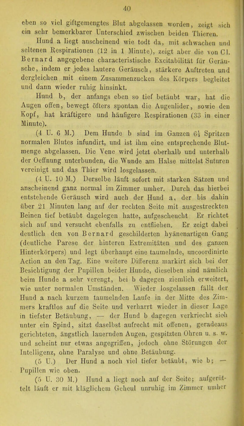 eben so viel giftgcmengtes Blut abgclassen worden, zeigt sich ein sehr bemerkbarer Unterschied zwischen beiden Tliieren. Ilnnd a liegt anscheinend wie todt da, mit schwachen und seltenen Respirationen (12 in 1 Minute), zeigt aber die von 01. Bernard angegebene chavacteristische Excitabilität für Geräu- sche, indem er jedes lautere Geräusch, stärkere Auftreten und dergleichen mit einem Zusammenzucken des Körpers begleitet und dann wieder ruhig hinsinkt. Hund b, der anfangs eben so tief betäubt war, hat die Augen offen, bewegt öfters spontan die Augenlider, sowie den Kopf, hat kräftigere und häufigere Respirationen (33 in einer Minute). (4 U. 6 M.) Dem Hunde b sind im Ganzen Spritzen normalen Blutes infundirt, und ist ihm eine entsprechende Blut- menge abgelassen. Die Vene wird jetzt oberhalb und unterhalb der Oeffnung unterbunden, die Wunde am Halse mittelst Suturen vereinigt und das Thier wird losgelassen. (4 U. 10 M.) Derselbe läuft sofort mit starken Sätzen und anscheinend ganz normal im Zimmer umher. Durch das hierbei entstehende Geräusch wird auch der Hund a, der bis dahin über 21 Minuten lang auf der rechten Seite mit ausgestreckten Beinen tief betäubt dagelegen hatte, aufgescheucht Er richtet sich auf und versucht ebenfalls zu entfliehen. Er zeigt dabei deutlich den von Bernard geschilderten hyänenartigen Gang (deutliche Parese der hinteren Extremitäten und des ganzen Hinterkörpers) und legt überhaupt eine taumelnde, uncoordinirte Action an den Tag. Eine weitere Differenz markirt sich bei der Besichtigung der Pupillen beider Hunde, dieselben sind nämlich beim Hunde a sehr verengt, bei b dagegen ziemlich erweitert, wie unter normalen Umständen. Wieder losgelassen fällt der Hund a nach kurzem taumelnden Laufe in der Mitte des Zim- mers kraftlos auf die Seite und verharrt wieder in dieser Lage in tiefster Betäubung, —• der Hund b dagegen verkriecht sioh unter ein Spind, sitzt daselbst aufrecht mit offenen, geradeaus gerichteten, ängstlich lauernden Augen, gespitzten Ohren u. s. w. und scheint nur etwas angegriffen, jedoch ohne Störungen der Intelligenz, ohne Paralyse und ohne Betäubung. (5 U.) Der Hund a noch viel tiefer betäubt, wie b; — Pupillen wie oben. (5 U. 30 M.) Hund a liegt noch auf der Seite; aufgerüt- telt läuft er mit kläglichem Geheul unruhig im Zimmer umher