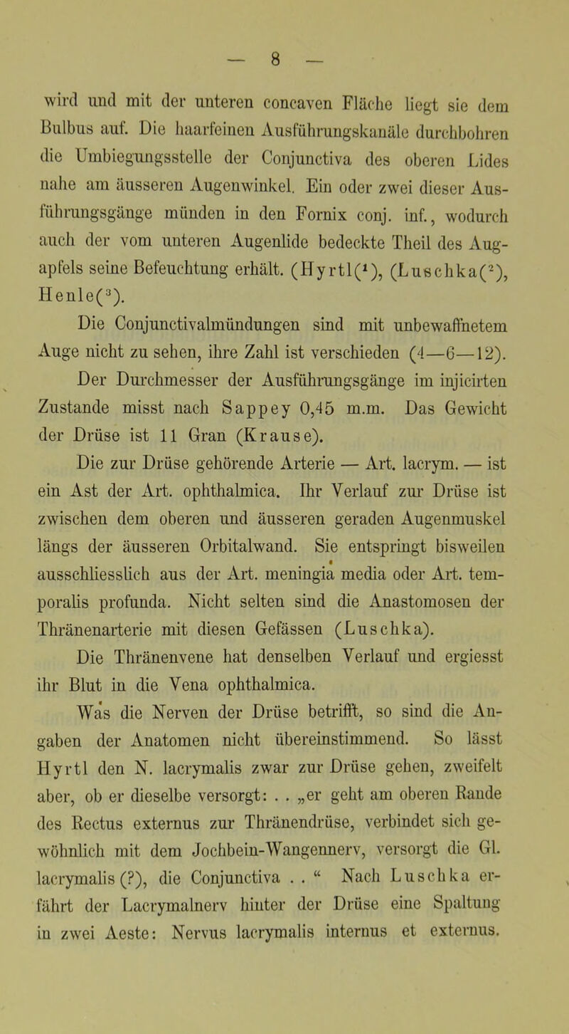 wird und mit der unteren concaven Fläche liegt sie dem Bulbus aut. Die haarfeinen Ausführungskanäle durchbohren die Urabiegungsstelle der Conjunctiva des oberen Lides nahe am äusseren Augenwinkel. Ein oder zwei dieser Aus- führungsgänge münden in den Fornix conj. inf., wodurch auch der vom unteren Augenlide bedeckte Theil des Aug- apfels seine Befeuchtung erhält. (Hyrtl(^), (Luschka(-), Henle(‘^). Die Conjunctivalmündungen sind mit unbewaffnetem Auge nicht zu sehen, ihre Zahl ist verschieden (4—6—12). Der Durchmesser der Ausfühningsgänge im injicirten Zustande misst nach Sappey 0,45 m.m. Das Gewicht der Drüse ist 11 Gran (Krause). Die zur Drüse gehörende Arterie — Art. lacrym. — ist ein Ast der Art. ophthalmica. Ihr Verlauf zur Drüse ist zwischen dem oberen und äusseren geraden Augenmuskel längs der äusseren Orbitalwand. Sie entspringt bisweilen ausschliesslich aus der Art. meningia media oder Art. tem- poralis profunda. Nicht selten sind die Anastomosen der Thränenarterie mit diesen Gefässen (Luschka). Die Thränenvene hat denselben Verlauf und ergiesst ihr Blut in die Vena ophthalmica. Was die Nerven der Drüse betrifft, so sind die An- gaben der Anatomen nicht übereinstimmend. So lässt Hyrtl den N. lacrymalis zwar zur Drüse gehen, zweifelt aber, ob er dieselbe versorgt: . . „er geht am oberen Rande des Rectus externus zur Thränendrüse, verbindet sich ge- wöhnlich mit dem Jochbein-Wangennerv, versorgt die Gl. lacrymalis (?), die Conjunctiva . . “ Nach Luschka er- fährt der Lacrymalnerv hinter der Drüse eine Spaltung in zwei Aeste: Nervus lacrymalis internus et externus.