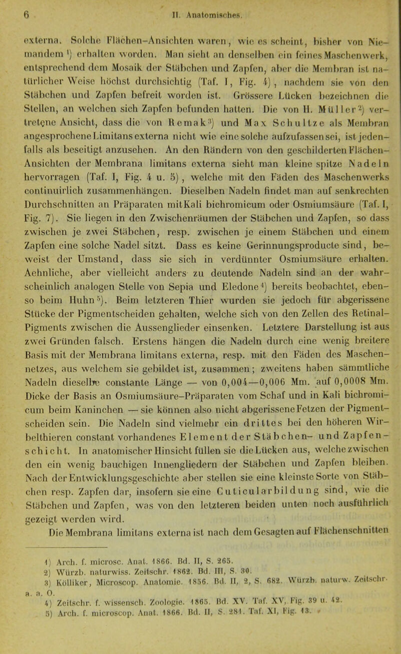 oxterna. Solche Fliichen-Ansichlen waren, wie es scheint, bisher von Nie- mandem ') erhalten worden. Man sieht an denselben ein feines Ma.schenwerk, entsprechend dem Mosaik der Stübchen und Zapfen, al)cr die Metid)ran ist na- türlicher Weise höchst durchsichtig (Taf, 1, Fig. I), nachdem sie von den Stäbchen und Zapfen befreit worden ist. Grössere Lücken bezeichnen die Stellen, an welchen sich Zapfen befunden hatten. Die von 11. Mül 1er2) ver- tretQue Ansicht, dass die von Rcmak'*) und Max Schultze als Membran angesprochene Limitans externa nicht wie eine solche aufzufassen sei, ist jeden- falls als beseitigt anzusehen. An den Rändern von den geschilderten Flächen- Ansichten der Membrana limitans externa sieht man kleine spitze Nadeln hervorragen (Taf. 1, Fig. 4 u. 5) , welche mit den Fäden des Maschenw'erks continuirlich Zusammenhängen. Dieselben Nadeln findet man auf senkrechten Durchschnitten an Präparaten mitKali bichromicum oder Osmiumsäure (Taf. I, Fig. 7). Sie liegen in den Zwischenräumen der Stäbchen und Zapfen, so dass zwischen je zw'ei Stäbchen, resp. zwischen je einem Stäbchen und einem Zapfen eine solche Nadel sitzt. Dass es keine Gerinnungsproducte sind, be- weist der Umstand, dass sie sich in verdünnter Osmiumsäure erhalten. Aehnliche, aber vielleicht anders zu deutende Nadeln sind an der wahr- scheinlich analogen Stelle von Sepia und Eledone“*) bereits beobachtet, eben- so beim Huhn®). Beim letzteren Thier wurden sie jedoch für abgerissene Stücke der Pigmentscheiden gehalten, welche sich von den Zellen des Retinal- Pigments zwischen die Aussenglieder einsenken. Letztere Darstellung ist aus zwei Gründen falsch. F>slens hängen die Nadeln durch eine w'enig breitere Basis mit der Membrana limitans externa, resp. mit den Fäden des Maschen- netzes, aus welchem sie gebildet ist, zusammen; zw'eitens haben sämmtliche Nadeln diesellte constante Länge — von 0,004—0,006 Mm. auf 0,0008 Mm. Dicke der Basis an Osmiumsäure-Präparaten vom Schaf und in Kali bichromi- cum beim Kaninchen —sie können also nicht abgerissene Fetzen der Pigment- scheiden sein. Die Nadeln sind vielmehr ein drittes bei den höheren Wir- belthieren constant vorhandenes Element der Stäbchen- und Zapfen- schicht. ln anatomischer Hinsicht füllen sic die Lücken aus, welche zwischen den ein wenig bauchigen Inuengliedern der Stäbchen und Zapfen bleiben. Nach der Entwicklungsgeschichte aber stellen sie eine kleinste Sorte von Stäb- chen resp. Zapfen dar, insofern sie eine C u t icu 1 ar bil d u ng sind, wie die Stäbchen und Zapfen, was von den letzteren beiden unten noch ausführlich gezeigt w'crden wird. Die Membrana limitans externa ist nach dem Gesagten auf Flächcnschnitlen 1) Arcli. f. microsc. Anal. ISeC. Rd. It, S. 265. 2) Würzb. nalurwi.ss. Zoitschr. 1862. Bd. 111, S. .SO. .S) Kölliker, Microscop. Anatomie. 1856. Rd. II, 2, S. 682. Würzb. naturw. Zcilhcbr. a. a. 0. 4) Zcitschr. f. wissenseb. Zoologie. 1865. Rd. XV. Taf. XV, I-ig. 39 u. 42. 5) Arch. f. microscop. Anal. 1866. Rd. II, S. 281. ’lat. XI, l'ig. 13.