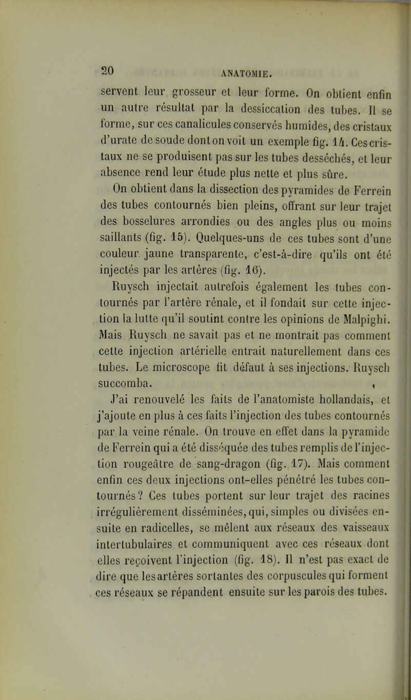 servent leur grosseur et leur forme. On obtient enfin un autre résultat par la dessiccation des tubes. Il se forme, sur ces canalicules conserves humides, des cristaux d’urate de soude dont on voit un exemple fig. IZi. Ces cris- taux ne se produisent pas sur les tubes desséchés, et leur absence rend leur étude plus nette et plus sûre. On obtient dans la dissection des pyramides de Ferrein des tubes contournés bien pleins, offrant sur leur trajet des bosselures arrondies ou des angles plus ou moins saillants (fig. 15). Quelques-uns de ces tubes sont d’une couleur jaune transparente, c’est-à-dire qu’ils ont été injectés par les artères (fig. 16). Ruysch injectait autrefois également les tubes con- tournés par l’artère rénale, et il fondait sur cette injec- tion la lutte qu’il soutint contre les opinions de Malpighi. ' Mais Ruysch ne savait pas et ne montrait pas comment cette injection artérielle entrait naturellement dans ces tubes. Le microscope fit défaut à ses injections. Ruysch succomba. , J’ai renouvelé les faits de l’anatomiste hollandais, et j’ajoute en plus à ces faits l’injection des tubes contournés par la veine rénale. On trouve en effet dans la pyramide de Ferrein qui a été disséquée des tubes remplis de l’injec- tion rougeâtre de sang-dragon (fig. 17). Mais comment enfin ces deux injections ont-elles pénétré les tubes con- tournés? Ces tubes portent sur leur trajet des racines irrégulièrement disséminées, qui, simples ou divisées en- suite en radicelles, se mêlent aux réseaux des vaisseaux inlerlubulaires et communiquent avec ces réseaux dont ; elles reçoivent l’injection (fig. 18). Il n’est pas exact de i dire que les artères sortantes des corpuscules qui forment : ces réseaux se répandent ensuite sur les parois des tubes. '