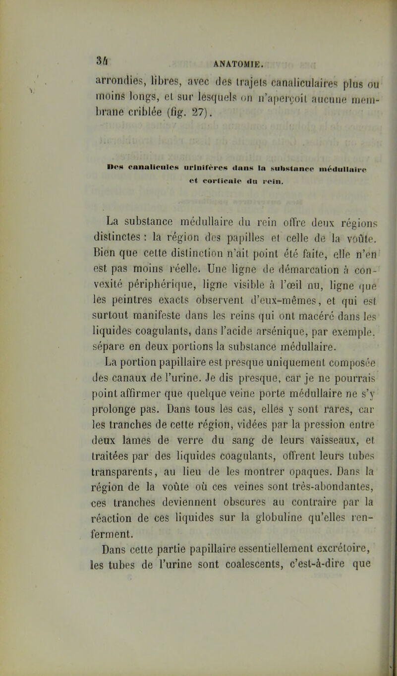 3/1 ANATOMIE. arrondies, libres, avec des irajels canaliculaires plus ou moins longs, el. sur lesquels on n’aperçoil aucune mem- brane criblée (fig, 27). 1*0» oanuIiciilOM iiriiiirères «laiiH la siilistanoo inédullair< e( corlical4‘ «In iM'in. La substance médullaire du rein olTre deux réglons distinctes : la région des papilles el celle de la voûte. Bien que celte distinction n’ait point été faite, elle n’en est pas moins réelle. Une ligne de démarcation à con- vexité périphérique, ligne visible à l’œil nu, ligne que les peintres exacts observent d’ciix-mêmes, et qui est surtout manifeste dans les reins qui ont macéré dans les liquides coagulants, dans l’acide arsénique, par exemple, sépare en deux portions la substance médullaire. La portion papillaire est presque uniquement composée des canaux de l’urine. Je dis presque, car je ne pourrais point affirmer que quelque veine porte médullaire ne s’y prolonge pas. Dans tous les cas, elles y sont rares, car les tranches de celte région, vidées par la pression entre deux lames de verre du sang de leurs vaisseaux, et traitées par des liquides coagulants, offrent leurs tubes transparents, au lieu de les montrer opaques. Dans la région de la voûte où ces veines sont très-abondantes, ces tranches deviennent obscures au contraire par la réaction de ces liquides sur la globuline qu’elles ren- ferment. Dans cette partie papillaire essentiellement excrétoire, les tubes de l’urine sont coalescents, c’est-à-dire que