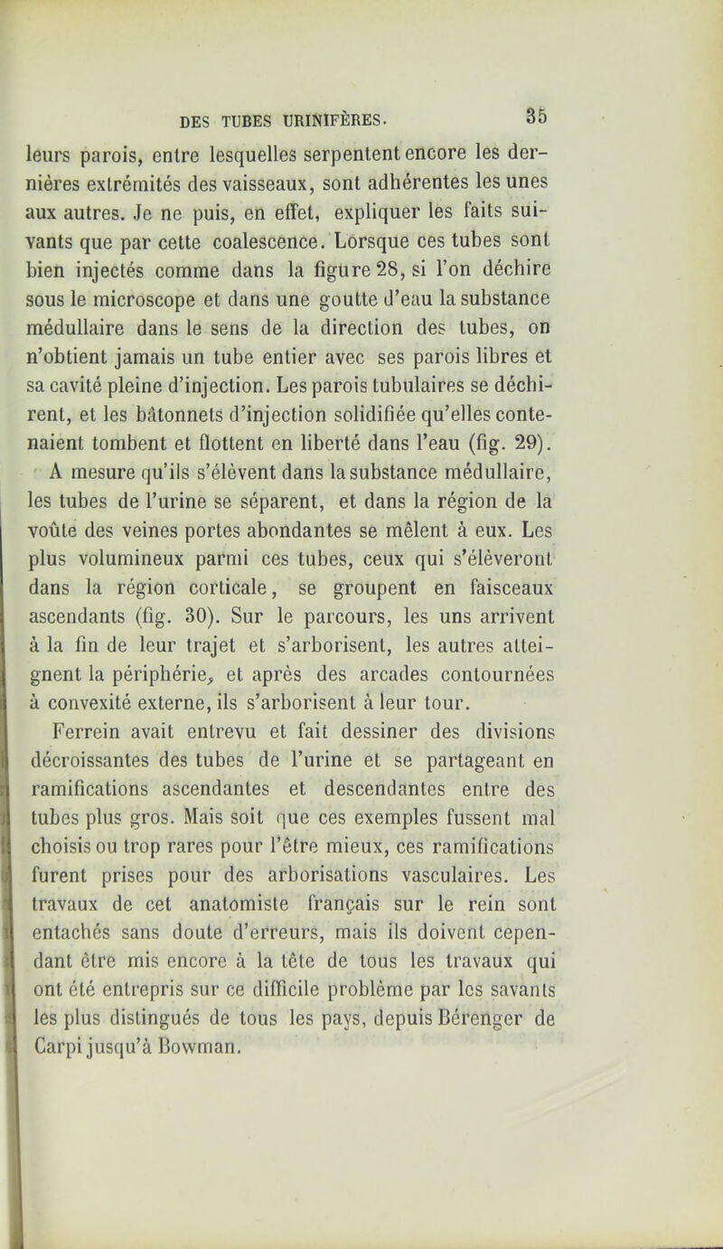 leurs parois, entre lesquelles serpentent encore les der- nières extrémités des vaisseaux, sont adhérentes les unes aux autres. Je ne puis, en effet, expliquer les faits sui- vants que par cette coalescence. Lorsque ces tubes sont bien injectés comme dans la figure 28, si l’on déchire sous le microscope et dans une goutte d’eau la substance médullaire dans le sens de la direction des tubes, on n’obtient jamais un tube entier avec ses parois libres et sa cavité pleine d’injection. Les parois tubulaires se déchi- rent, et les bâtonnets d’injection solidifiée qu’elles conte- naient tombent et flottent en liberté dans l’eau (fig. 29). ' A mesure qu’ils s’élèvent dans la substance médullaire, les tubes de l’urine se séparent, et dans la région de la voûte des veines portes abondantes se mêlent à eux. Les plus volumineux parmi ces tubes, ceux qui s’élèveront dans la région corticale, se groupent en faisceaux ascendants (fig. 30). Sur le parcours, les uns arrivent à la fin de leur trajet et s’arborisent, les autres attei- gnent la périphérie^ et après des arcades contournées à convexité externe, ils s’arborisent à leur tour. Ferrein avait entrevu et fait dessiner des divisions décroissantes des tubes de l’urine et se partageant en ramifications ascendantes et descendantes entre des tubes plus gros. Mais soit que ces exemples fussent mal choisis ou trop rares pour l’être mieux, ces ramifications furent prises pour des arborisations vasculaires. Les travaux de cet anatomiste français sur le rein sont entachés sans doute d’erreurs, mais ils doivent cepen- dant être mis encore à la tête de tous les travaux qui ont été entrepris sur ce difficile problème par les savants les plus distingués de tous les pays, depuis Bérenger de Carpi jusqu’à Bowman,