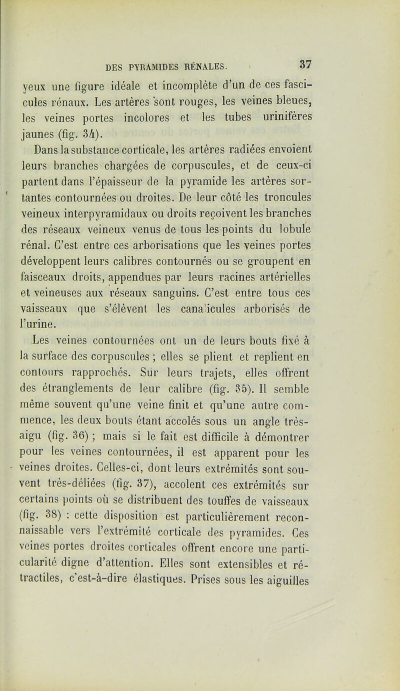 yeux une figure idéale et incomplète d’un de ces fasci- cules rénaux. Les artères sont rouges, les veines bleues, les veines portes incolores et les tubes urinifères jaunes (fig. 3A). Dans la substance corticale, les artères radiées envoient leurs branches chargées de corpuscules, et de ceux-ci partent dans l’épaisseur de la pyramide les artères sor- tantes contournées ou droites. De leur côté les troncules veineux interpyramidaux ou droits reçoivent les branches des réseaux veineux venus de tous les points du lobule rénal. C’est entre ces arborisations que les veines portes développent leurs calibres contournés ou se groupent en faisceaux droits, appendues par leurs racines artérielles et veineuses aux réseaux sanguins. C’est entre tous ces vaisseaux que s’élèvent les canaücules arborisés de l’urine. Les veines contournées ont un de leurs bouts fixé à la surface des corpuscules ; elles se plient et replient en contours rapprochés. Sur leurs trajets, elles offrent des étranglements de leur calibre (fig. 35). 11 semble même souvent qu’une veine finit et qu’une autre com- mence, les deux bouts étant accolés sous un angle très- aigu (fig. 36) ; mais si le fait est difficile à démontrer pour les veines contournées, il est apparent pour les • veines droites. Celles-ci, dont leurs extrémités sont sou- vent très-déliées (fig. 37), accolent ces extrémités sur certains points où se distribuent des touffes de vaisseaux (fig. 38) : celte disposition est particulièrement recon- naissable vers l’extrémité corticale des pyramides. Ces veines portes droites corticales offrent encore une parti- cularité digne d’attention. Elles sont extensibles et ré- tractiles, c’est-à-dire élastiques. Prises sous les aiguilles