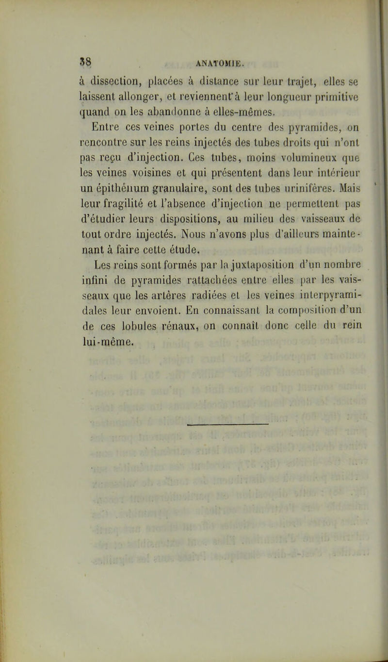 S8 à dissection, placées à distance sur leur trajet, elles se laissent allonger, et reviennent'à leur longueur primitive (juand on les abandonne à elles-mêmes. Entre ces veines portes du centre des pyramides, on rencontre sur les reins injectés des tubes droits qui n’ont pas reçu d’injection. Ces tubes, moins volumineux que les veines voisines et qui présentent dans leur intérieur un épithélium granulaire, sont des tubes uriniféres. Mais leur fragilité et l’absence d’injection ne permettent pas d’étudier leurs dispositions, au milieu des vaisseaux de tout ordre injectés. Nous n’avons plus d’ailleurs mainte- nant à faire cette étude. Les reins sont formés par la juxtaposition d’un nombre inlini de pyramides rattachées entre elles par les vais- seaux que les artères radiées et les veines interpyrami- dales leur envoient. En connaissant la composition d’un de ces lobules rénaux, on connaît donc celle du rein lui-même.