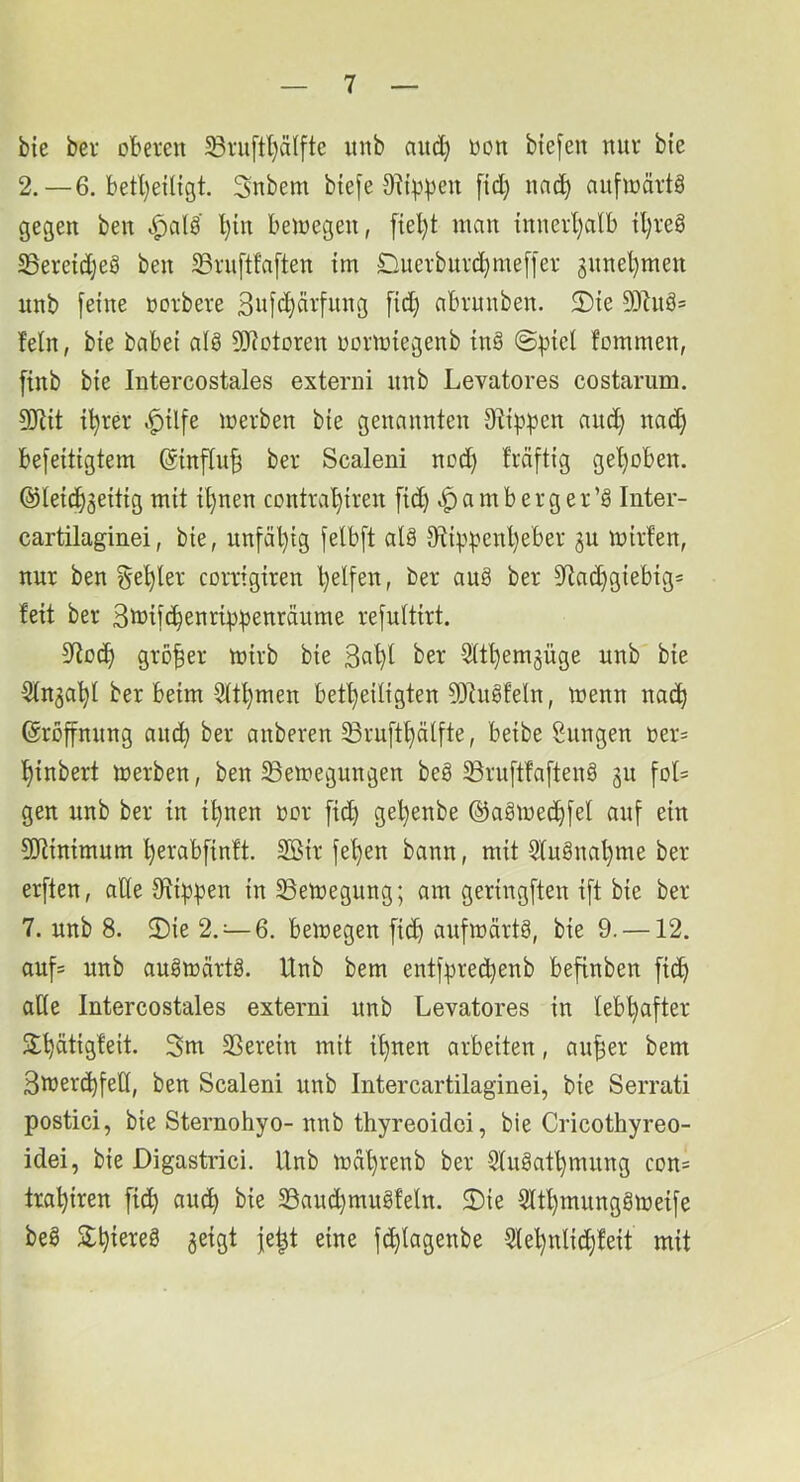 bie ber oberen 58ruftl)ä(fte unb nitd) oon bte[en nur bte 2.—6. betl)eütgt. Snbem bie[e ftd) nnc^ nufioärt§ gegen ben t)in beioegen, [tel)t man innerljalb tl;re8 S3ereid]e8 ben Sruftfaften im Duerbnrd)me[fer gnnel)men nnb feine oorbere 3ufcf)Ärfnng fid) abrunben. 5)ie 93htä= fein, bie babei al8 50?otoren oormiegenb in§ ©l^iel fommen, [inb bie Intercostales externi nnb Levatores costarum. Sliit i^rer .^ilfe werben bie genannten Otip^en and) nad) befeitigtem (äinfln§ ber Scaleni nod) fräftig gef)oben. @leic^3eitig mit i^nen contra^iren fid) ^ amberg er’ö Inter- cartilaginei, bie, unfäl)ig felbft al8 3fiip^)enl)eber gu mirfen, nur ben geiler corrigiren l)elfen, ber aug ber 5Rad)giebig= feit ber 3tt)ifc^enrip:penräume refultirt. 3^od) größer toirb bie 3a^l ber 9ltl)em3Üge unb bie Slnja'^l ber beim 5lt^men bef^eiligten 9)tngfeln, wenn nac^^ Eröffnung anc^ ber anberen 33ruftf)älfte, beibe Snngen oer= ^inbert werben, ben Bewegungen beg Bruftfafteng gu foL gen unb ber in i^nen oor fid) gel)enbe ©agwec^fel auf ein 3!Jiinimum ^erabfinft. 3Bir fe^en bann, mit Slngna^me ber erften, ade 0fiip^en in Bewegung; am geringften ift bie ber 7. nnb 8. 5)ie 2.-6, bewegen [i(^ aufwärtg, bie 9. —12. aufs unb augwärtg. Unb bem entf^rec^enb befinben fid) ade Intercostales externi nnb Levatores in lebhafter Jl^ätigfeit. 3m Berein mit if)nen arbeiten, an^er bem 3werc^fed, ben Scaleni nnb Intercartilaginei, bie Serrati postici, bie Sternohyo- nnb thyreoidci, bie Cricothyreo- idei, bie Digastrici. Unb wdl)renb ber 5lngat^mnng con= tra^iren fici^ anc^ bie Band)mngfeln. 2)ie 3lt^mnnggweife beg 3:^iereg geigt je^t eine fc^lagenbe 5lel)nlic^feit mit