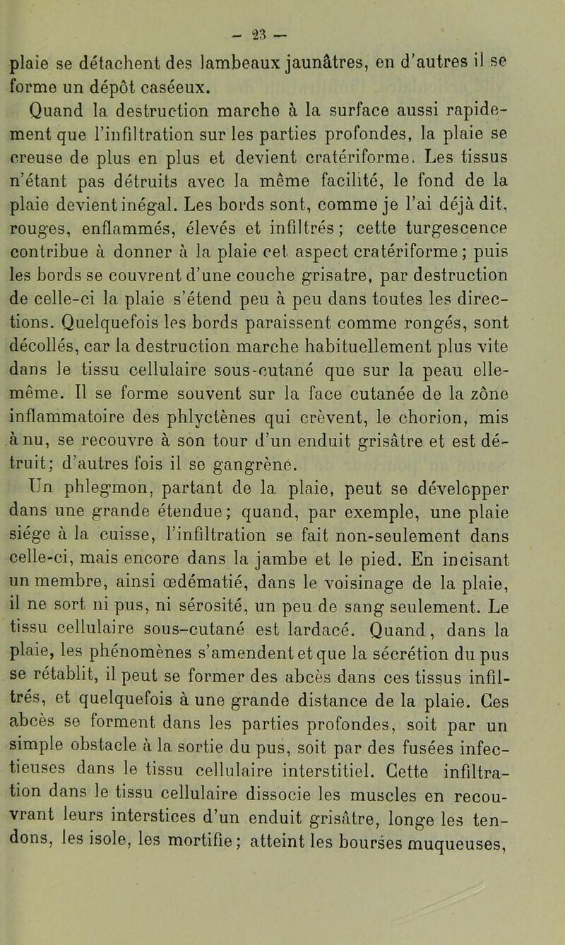 plaie se détachent des lambeaux jaunâtres, en d’autres il se forme un dépôt caséeux. Quand la destruction marche à la surface aussi rapide- ment que l’infiltration sur les parties profondes, la plaie se creuse de plus en plus et devient cratériforme. Les tissus n’étant pas détruits avec la même facilité, le fond de la plaie devient inégal. Les bords sont, comme je l’ai déjà dit, rouges, enflammés, élevés et infiltrés; cette turgescence contribue à donner à la plaie cet aspect cratériforme ; puis les bords se couvrent d’une couche grisâtre, par destruction de celle-ci la plaie s’étend peu à peu dans toutes les direc- tions. Quelquefois les bords paraissent comme rongés, sont décollés, car la destruction marche habituellement plus vite dans le tissu cellulaire sous-cutané que sur la peau elle- même. Il se forme souvent sur la face cutanée de la zône inflammatoire des phlyctènes qui crèvent, le chorion, mis à nu, se recouvre à son tour d’un enduit grisâtre et est dé- truit; d’autres fois il se gangrène. Un phlegmon, partant de la plaie, peut se développer dans une grande étendue ; quand, par exemple, une plaie siège à la cuisse, l’infiltration se fait non-seulement dans celle-ci, mais encore dans la jambe et le pied. En incisant un membre, ainsi œdématié, dans le voisinage de la plaie, il ne sort ni pus, ni sérosité, un peu de sang seulement. Le tissu cellulaire sous-cutané est lardacé. Quand, dans la plaie, les phénomènes s’amendent et que la sécrétion du pus se rétablit, il peut se former des abcès dans ces tissus infil- trés, et quelquefois à une grande distance de la plaie. Ces abcès se forment dans les parties profondes, soit par un simple obstacle à la sortie du pus, soit par des fusées infec- tieuses dans le tissu cellulaire interstitiel. Cette infiltra- tion dans le tissu cellulaire dissocie les muscles en recou- vrant leurs interstices d’un enduit grisâtre, longe les ten- dons, les isole, les mortifie ; atteint les bourses muqueuses.
