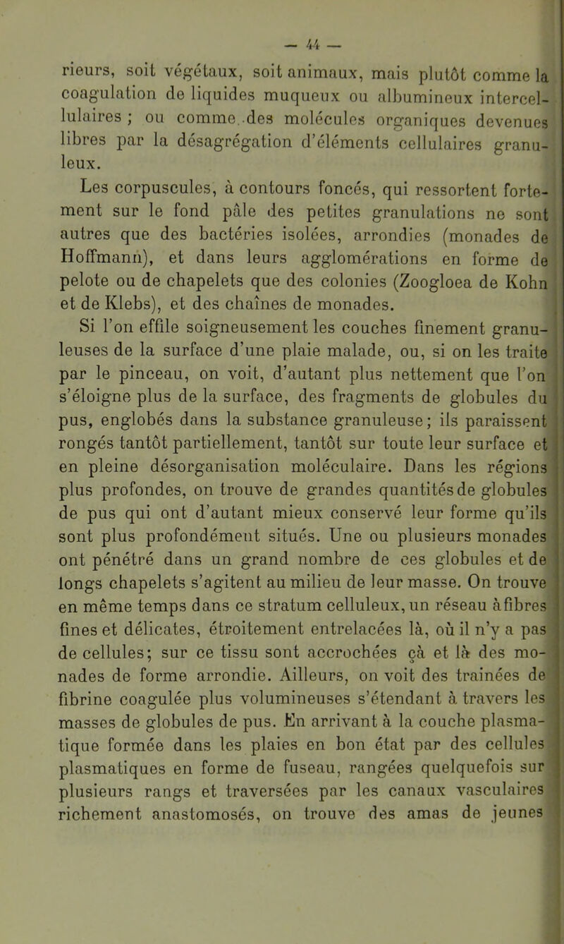 rieurs, soit végétaux, soit animaux, mais plutôt comme la coagulation de liquides muqueux ou albumineux intercel- lulaires ; ou comme..des molécules organiques devenues libres par la désagrégation d’éléments cellulaires granu- leux. Les corpuscules, à contours foncés, qui ressortent forte- ment sur le fond pâle des petites granulations ne sont autres que des bactéries isolées, arrondies (monades de Hoffmann), et dans leurs agglomérations en forme de pelote ou de chapelets que des colonies (Zoogloea de Kohn et de Klebs), et des chaînes de monades. Si l’on effile soigneusement les couches finement granu- leuses de la surface d’une plaie malade, ou, si on les traite par le pinceau, on voit, d’autant plus nettement que l’on s’éloigne plus de la surface, des fragments de globules du pus, englobés dans la substance granuleuse; ils paraissent rongés tantôt partiellement, tantôt sur toute leur surface et en pleine désorganisation moléculaire. Dans les régions i plus profondes, on trouve de grandes quantités de globules • de pus qui ont d’autant mieux conservé leur forme qu’ils ' sont plus profondément situés. Une ou plusieurs monades : ont pénétré dans un grand nombre de ces globules et de | longs chapelets s’agitent au milieu de leur masse. On trouve | en même temps dans ce stratum celluleux, un réseau àfibres j fines et délicates, étroitement entrelacées là, où il n’y a pas i de cellules; sur ce tissu sont accrochées çà et là des mo- nades de forme arrondie. Ailleurs, on voit des trainées de i fibrine coagulée plus volumineuses s’étendant à travers les masses de globules de pus. En arrivant à la couche plasma- ; tique formée dans les plaies en bon état par des cellules ' plasmatiques en forme de fuseau, rangées quelquefois sur \ plusieurs rangs et traversées par les canaux vasculaires richement anastomosés, on trouve des amas de jeunes