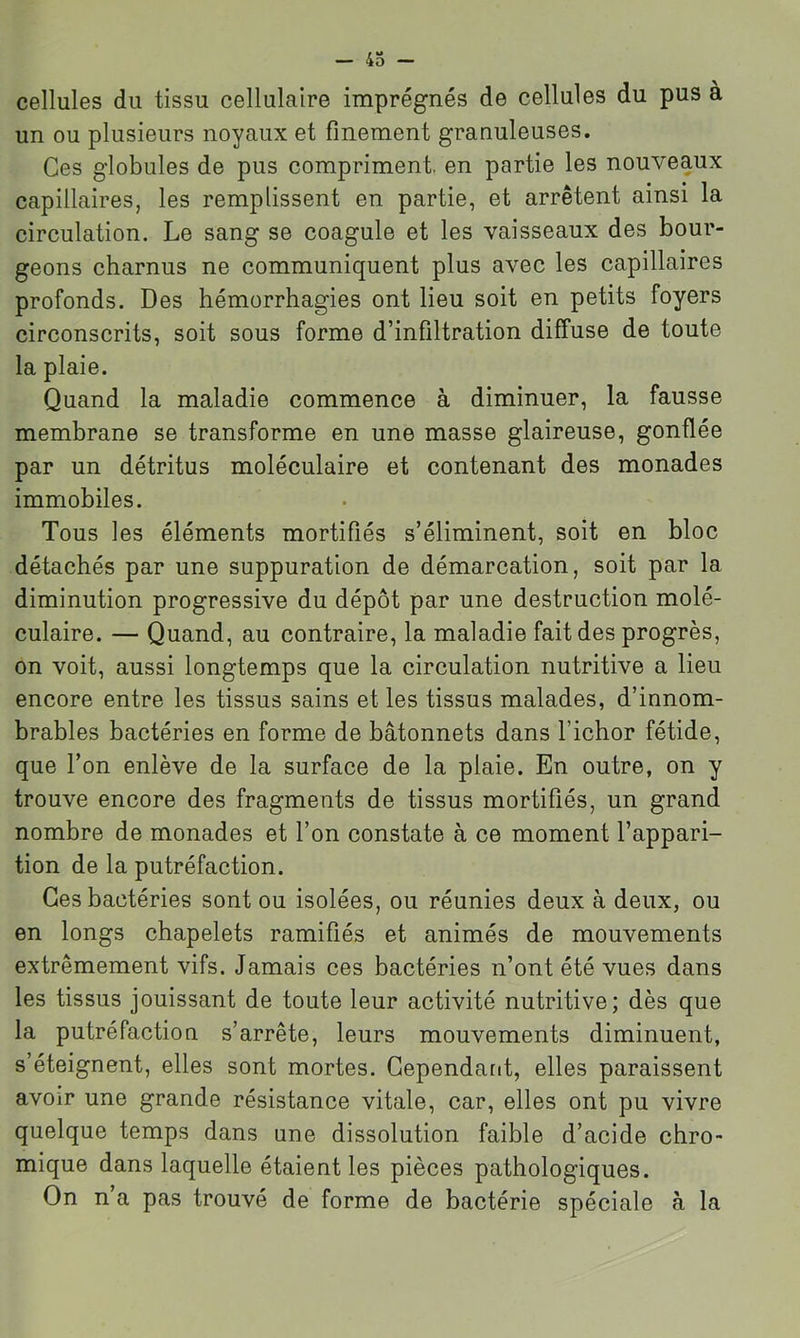— 4o - cellules du tissu cellulaire imprégnés de cellules du pus à un ou plusieurs noyaux et finement granuleuses. Ces globules de pus compriment, en partie les nouveaux capillaires, les remplissent en partie, et arrêtent ainsi la circulation. Le sang se coagule et les vaisseaux des bour- geons charnus ne communiquent plus avec les capillaires profonds. Des hémorrhagies ont lieu soit en petits foyers circonscrits, soit sous forme d’infiltration diffuse de toute la plaie. Quand la maladie commence à diminuer, la fausse membrane se transforme en une masse glaireuse, gonflée par un détritus moléculaire et contenant des monades immobiles. Tous les éléments mortifiés s’éliminent, soit en bloc détachés par une suppuration de démarcation, soit par la diminution progressive du dépôt par une destruction molé- culaire. — Quand, au contraire, la maladie fait des progrès, on voit, aussi longtemps que la circulation nutritive a lieu encore entre les tissus sains et les tissus malades, d’innom- brables bactéries en forme de bâtonnets dans Tichor fétide, que l’on enlève de la surface de la plaie. En outre, on y trouve encore des fragments de tissus mortifiés, un grand nombre de monades et l’on constate à ce moment l’appari- tion de la putréfaction. Ces bactéries sont ou isolées, ou réunies deux à deux, ou en longs chapelets ramifiés et animés de mouvements extrêmement vifs. Jamais ces bactéries n’ont été vues dans les tissus jouissant de toute leur activité nutritive; dès que la putréfaction s’arrête, leurs mouvements diminuent, s’éteignent, elles sont mortes. Cependant, elles paraissent avoir une grande résistance vitale, car, elles ont pu vivre quelque temps dans une dissolution faible d’acide chro- mique dans laquelle étaient les pièces pathologiques. On n a pas trouvé de forme de bactérie spéciale à la