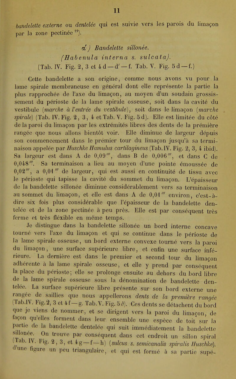 bandelette externe ou dentelée qui est suivie vers les parois du limaçon par la zone pectinée ”). a ) Bandelette sillonée. (Eabenula interna s. sulcata). (Tab. IV. Fig. 2, 3 et 4d —d' —f. Tab. V. Fig. 5d —f.) Celte bandelette a son origine, comme nous avons vu pour la lame spirale membraneuse en général dont elle représente la partie la plus rapprochée de l’axe du limaçon, au moyen d’un soudain grossis- sement du périoste de la lame spirale osseuse, soit dans la cavité du vestibule [marche à l’entrée du vestibule)^ soit dans le limaçon [marche spirale) (Tab. IV. Fig. 2,3,4 et Tab. V. Fig. 5d). Elle est limitée du côté de la paroi du limaçon par les extrémités libres des dents de la prémière rangée que nous allons bientôt voir. Elle diminue de largeur dépuis son commencement dans le prémier tour du limaçon jusqu’à sa termi- naison appelée par Huschke Hamulus cartilagineus (Tab. IV. Fig. 2, 3, 4 ibid). Sa largeur est dans A de 0,09', dans B de 0,006', et dans C de 0,048'. Sa terminaison a lieu au moyen d’une pointe émoussée de 0,02', a 0,01' de largeur, qui est aussi en continuité de tissu avec le périoste qui tapisse la cavité du sommet du limaçon. L’épaisseur de la bandelette sillonée diminue considérablement vers sa terminaison au sommet du limaçon, et elle est dans A de 0,01' environ, c’est-à- dire six fois plus considérable que l’épaisseur de la bandelette den- telée et de la zone pectinée à peu près. Elle est par conséquent très ferme et très fléxible en même temps. Je distingue dans la bandelette sillonée un bord interne concave tourné vers l’axe du limaçon et qui se continue dans le périoste de la lame spirale osseuse, un bord externe convexe tourné vers la paroi du limaçon, une surface supérieure libre, et enfin une surface infé- rieure. La dernière est dans le premier et second tour du limaçon adhérente à la lame spirale osseuse, et elle y prend par conséquent la place du périoste; elle se prolonge ensuite au dehors du bord libre de la lame spirale osseuse sous la dénomination de bandelette den- telée. La surface supérieure libre présente sur son bord externe une rangée de saillies que nous appellerons dents de la première rangée (Tab.lV. Fig. 2, 3 et 4f g. Tab.V. Fig. 59). Ces dents se détachent du bord que je viens de nommer, et se dirigent vers la paroi du limaçon, de façon qu’elles forment dans leur ensemble une espèce de toit* sur la partie de la bandelette dentelée qui suit immédiatement la bandelette sfilonée. On trouve par conséquent dans cet endroit un sillon spiral ai. IV. Fig. 2, 3, et 4g f—h) [sulcus s. semicanalis spiralis Huschke). t une figure un peu triangulaire, et qui est formé à sa partie supé-