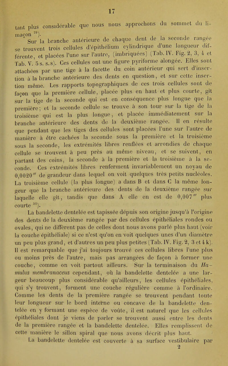 tant plus considérable que nous nous approchons du sommet dti li- 29 J ' Sur la branche antérieure de chaque dent de la seconde rangée se trouvent trois cellules d’épithélium cylindrique d’une longueur dif- férente, et placées l’une sur l’autre, (imbriquées) (Tab.lV. Fig. 2, 3, 4 et Tab. V. 5 s. s.s). Ces cellules ont une figure pyriforme alongée. Elles sont attachées par une tige à la facette du coin antérieur qui sert d’inser- tion à la branche antérieure des dents en question, et sur celte inser- tion même. Les rapports topographiques de ces trois cellules sont de façon que la première cellule, placée plus en haut et plus courte, gît sur la tige de la seconde qui est en conséquence plus longue que la première”; et la seconde cellule se trouve à son tour sur la tige de la troisième qui est la plus longue, et placée immédiatement sur la branche antérieure des dents de la deuxième rangée. 11 en résulte que pendant que les tiges des cellules sont placées l’une sur l’autre de manière à être cachées la seconde sous la première et la troisième sous la seconde, les extrémités libres renflées et arrondies de chaque cellule se trouvent à peu près au même niveau, et se suivent, en parlant des coins, la seconde à la première et la troisième à la se- conde. Ces extrémités libres renferment invariablement un noyau de 0,0020' de grandeur dans lequel on voit quelques très petits nucléoles. La troisième cellule (la plus longue) a dans B et dans C la même lon- geur que la branche antérieure des dents de la deuxième rangée sur laquelle elle gît, tandis que dans A elle en est de 0,007' plus courte ^“). La bandelette dentelée est tapissée dépuis son origine jusqu’à l’origine des dents de la deuxième rangée par des cellules épithéliales rondes ou ovales, qui ne diffèrent pas de celles dont nous avons parlé plus haut (voir la couche épithéliale) si ce n’csl qu’on en voit quelques unes d’un diamètre un peu plus grand, et d’autres un peu plus petites (Tab. IV. Fig. 2, 3 et 4 k). 11 est remarquable que j’ai toujours trouvé ces cellules libres l’une plus ou moins près de l’autre, mais pas arrangées do façon à former une couche, comme on voit partout ailleurs. Sur la terminaison du Ha- mulus membranaceus cependant, où la bandelette dentelée a une lar- geur beaucoup plus considérable qu’ailleurs, les cellules épithéliales, qui s’y trouvent, forment une couche régulière comme à l’ordinaire. Comme les dents de la première rangée se trouvent pendant toute leur longueur sur le bord interne ou concave de la bandelette den- telée en y formant une espèce de voûte, il est naturel que les cellules épithéliales dont je viens de parler se trouvent aussi entre les dents de la première rangée et la bandelette dentelée. Elles remplissent de cette manière le sillon spiral que nous avons décrit plus haut. La bandelette dentelée est couverte à sa surface vestibulaire par 2