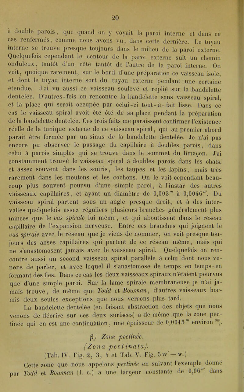 •J double parois, ([uc (juand on y voyait la paroi interne et dans ce cas renfei-inés, comme nous avons vu, dans cette dernière. I.e tuyau iiiteine se trouve presc[ue toujours dans le milieu de la paroi externe. Quelc|uefois cependant le contour de la paroi externe suit un chemin onduleux, tantôt dun côté tantôt de l’autre de la paroi interne. On voit, c[iioic[ue rarement, sur le bord d’une pi’éparation ce vaisseau isolé, et dont le tuyau interne sort du tuyau externe pendant une certaine étendue. J’ai vu aussi ce vaisseau soulevé et replié sur la bandelette dentelée. D’autres-fois on rencontre la bandelette sans vaisseau spiral, et la place qui seroit occupée par celui-ci tout-à-fait lisse. Dans ce cas le vaisseau spiral avoit été ôté de sa place j>endant la préparation de la bandelette dentelée. Ces trois faits me paraissent confirmer l’existence réelle de la tunique externe de ce vaisseau spiral, qui au premier abord parait être formée par un sinus de la bandelette dentelée. Je n’ai pas encore pu observer le passage du capillaire à doubles parois, dans celui à parois simples qui se trouve dans le sommet du limaçon. J’ai constamment trouvé le vaisseau spiral à doubles parois dans les chats, et assez souvent dans les souris, les taupes et les lapins, mais très rarement dans les moutons et les cochons. On le voit cependant beau- coup plus souvent pourvu d’une simple paroi, à l’instar des autres vaisseaux capillaires, et ayant un diamètre de 0,003' à 0,0046'. Du vaisseau spiral partent sous un angle presque droit, et à des inter- valles quelquefois assez réguliers plusieurs branches généralement plus minces que le ws spirale lui même, et qui aboutissent dans le réseau capillaire de l’expansion nerveuse. Entre ces branches qui joignent le vas spirale avec le réseau que je viens de nommer, on voit presque tou- jours des anses capillaires qui partent de ce réseau même, mais qui ne s’anastomosent jamais avec le vaisseau spiral. Quelquefois on ren- contre aussi un second vaisseau spiral parallèle à celui dont nous ve- nons de parler, et avec lequel il s’anastomose de teraps-en temps-en formant des îles. Dans ce cas les deux vaisseaux spiraux n’étaient pourvus que d’une simple paroi. Sur la lame spirale membraneuse je n’ai ja- mais trouvé, de même que Todd et Bowman^ d’autres vaisseaux hor- mis deux seules exceptions que nous verrons plus tard. La bandelette dentelée (en faisant abstraction des objets que nous venons de décrire sur ces deux surfaces) a de même que la zone pec- tinée qui en est une continuation, une épaisseur de 0,0015' environ Zone pecHnèe. (Zona pecl inata). (Tab. IV. Fig. 2, 3, 4 et Tab. V. Fig. 5\v'-w.) Cette zone que nous appelons pectinée en suivant l’exemple donné par Todd et Boivman (1. c.) a une largeur constante de 0,06' dans