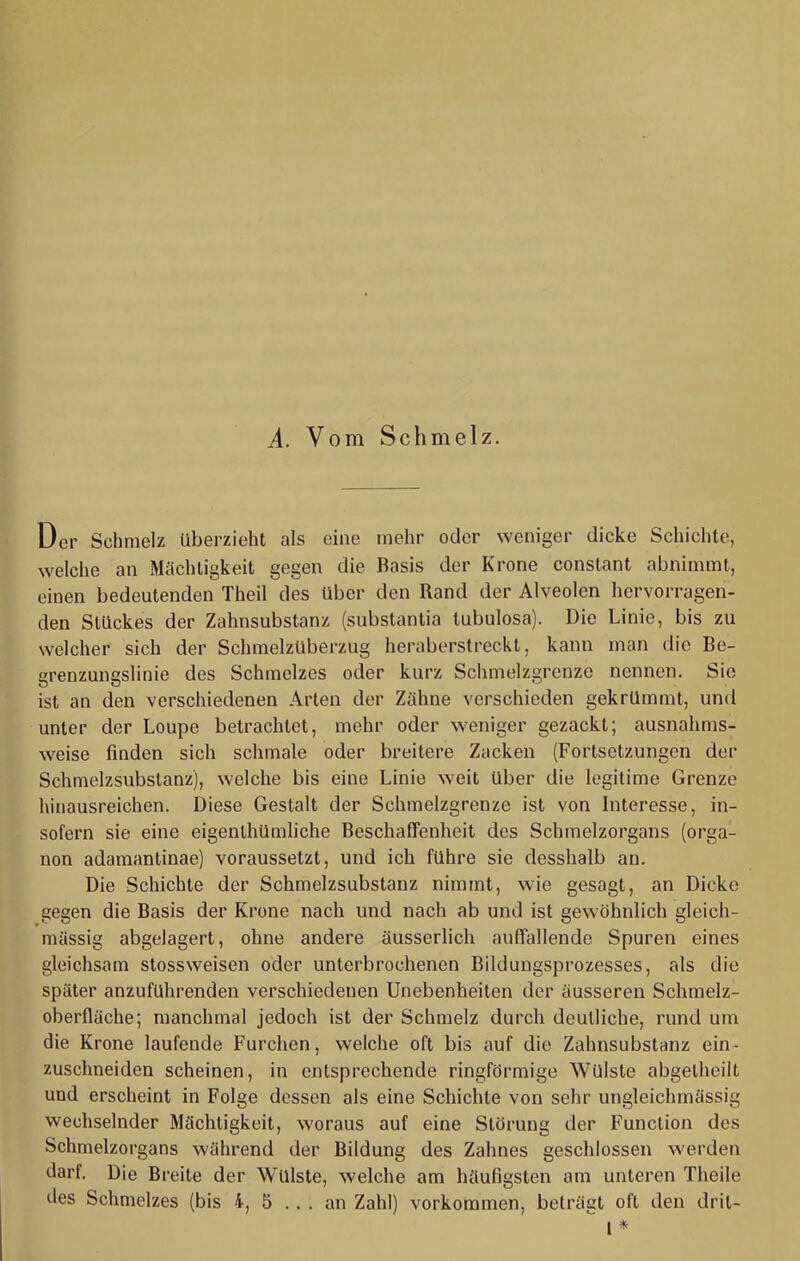 A. Vom Schmelz. Der Schmelz überzieht als eine mehr oder weniger dicke Schichte, welche an Mächtigkeit gegen die Basis der Krone constant abnimmt, einen bedeutenden Theil des über den Rand der Alveolen hervorragen- den Stückes der Zahnsubstanz (substantia lubulosa). Die Linie, bis zu welcher sich der Schmelzüberzug heraberstreckt, kann man die Be- grenzungslinie des Schmelzes oder kurz Schmelzgrenze nennen. Sie ist an den verschiedenen Arten der Zähne verschieden gekrümmt, und unter der Loupe betrachtet, mehr oder weniger gezackt; ausnahms- weise finden sich schmale oder breitere Zacken (Fortsetzungen der Schmelzsubstanz), welche bis eine Linie weit über die legitime Grenze hinausreichen. Diese Gestalt der Schmelzgrenze ist von Interesse, in- sofern sie eine eigenthümliche Beschaffenheit des Schmelzorgans (orga- non adamantinae) voraussetzt, und ich führe sie desshalb an. Die Schichte der Schmelzsubstanz nimmt, wie gesagt, an Dicke gegen die Basis der Krone nach und nach ab und ist gewöhnlich gleich- mässig abgelagert, ohne andere äusserlich auffallende Spuren eines gleichsam stossweisen oder unterbrochenen Bildungsprozesses, als die später anzuführenden verschiedenen Unebenheiten der äusseren Schmelz- oberfläche; manchmal jedoch ist der Schmelz durch deutliche, rund um die Krone laufende Furchen, welche oft bis auf die Zahnsubstanz ein- zuschneiden scheinen, in entsprechende ringförmige Wülste abgelheilt und erscheint in Folge dessen als eine Schichte von sehr ungleichrnässig wechselnder Mächtigkeit, woraus auf eine Störung der Function des Schmelzorgans während der Bildung des Zahnes geschlossen werden darf. Die Breite der Wülste, welche am häufigsten am unteren Theile des Schmelzes (bis 4, 5 ... an Zahl) verkommen, beträgt oft den drit- I *
