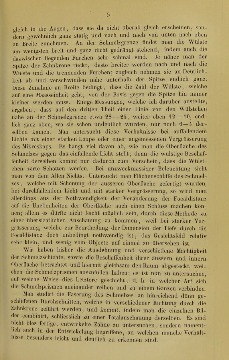 «leich in die Augen, dass sie da nicht Überall gleich erscheinen, son- dern gewöhnlich ganz slätig und nach und nach von unten nach oben an Breite zunehinen. An der Schinelzgrenze findet man die Wülste am wenigsten breit und ganz dicht gedrängt stehend, indem auch die dazwischen liegenden Furchen sehr schmal sind. Je näher man der Spitze der Zahnkrone rückt, desto breiter werden nach und nach die Wülste und die trennenden Furchen; zugleich nehmen sie an Deutlich- keit ab und verschwinden nahe unterhalb der Spitze endlich ganz. Diese Zunahme an Breite bedingt, dass die Zahl der Wülste, welche auf eine Maasseinheit geht, von der Basis gegen die Spitze hin immer kleiner werden muss. Einige Messungen, welche ich darüber anstellte, ergaben , dass auf den dritten Theil einer Linie von den Wülstchen nahe an der Schmelzgrenze etwa 28 — 24, weiter oben 12—10, end- lich ganz oben, wo sie schon undeutlich wurden, nur noch 6 — 4 der- selben kamen. Man untersucht diese Verhältnisse bei auffallendem Lichte mit einer starken Loupe oder einer angemessenen Vergrösserung des Mikroskops. Es hängt viel davon ab, wie man die Oberfläche des Schmelzes gegen das einfallende Licht stellt; denn die wulstige Beschaf- fenheit derselben kommt nur dadurch zum Vorschein, dass die Wülst- chen zarte Schatten w^erfen. Bei unzweckmässiger Beleuchtung sieht man von dem Allen Nichts. Untersucht man FlächenschlHTe des Schmel- zes , welche mit Schonung der äusseren Oberfläche gefertigt wurden, bei durchfallendein Licht und mit starker Vergrösserung. so wird man allerdings aus der Nothwendigkeit der Veränderung der Focaldistanz auf die Unebenheiten der Oberfläche auch einen Schluss machen kön- nen; allein es dürfte nicht leicht möglich sein, durch diese Methode zu einer übersichtlichen Anschauung zu kommen , weil bei starker Ver- grösserung, welche zur Beurtheilung der Dimension der Tiefe durch die Focaldistanz doch unbedingt nothwendig ist, das Gesichtsfeld relativ sehr klein, und wenig vom Objecte auf einmal zu übersehen ist. Wir haben bisher die Ausdehnung und verschiedene Mächtigkeit der Schmelzschichto, sowie die Beschaflenheit ihrer äussern und innern Oberfläche betrachtet und hiermit gleichsam den Raum abgesteckt, wel- chen die Schmelzprismen auszufüllen haben; es ist nun zu untersuchen, auf welche Weise dies Letztere geschieht, d. h. in welcher Art sich die Schmelzprismen aneinander reihen und zu einem Ganzen verbinden. Man studirt die Faserung des Schmelzes an hinreichend dünn ge- schliffenen Durchschnitten, welche in verschiedener Richtung durch die Zahnkrone geführt werden, und kommt, indem man die einzelnen Bil- dei combinirU schliesslich zu einer Totalanschauung derselben. Es sind nicht blos fertige, entwickelte Zähne zu untersuchen, sondern narnent- ich auch in der Entwickelung bogriflene, an welchen manche Verhält- nisse besonders leicht und deutlich zu erkennen sind.