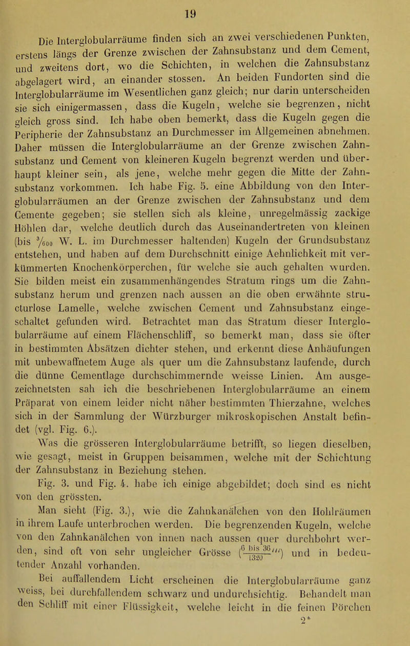 Die Inlerglobularräume finden sich an zwei verschiedenen Punkten, erstens längs der Grenze zwischen der Zahnsubstanz und dem Gement, und zweitens dort, wo die Schichten, in welchen die Zahnsubstanz ab'^elagert wird, an einander stossen. An beiden Fundorten sind die Interglobularräume im Wesentlichen ganz gleich; nur darin unterscheiden sie sich einigermassen, dass die Kugeln, welche sie begrenzen, nicht gleich gross sind. Ich habe oben bemerkt, dass die Kugeln gegen die Peripherie der Zahnsubstanz an Durchmesser im Allgemeinen abnehmen. Daher müssen die Interglobularräume an der Grenze zwischen Zahn- suhstanz und Gement von kleineren Kugeln begrenzt werden und über- haupt kleiner sein, als jene, welche mehr gegen die Mitte der Zahn- substanz Vorkommen. Ich habe Fig. ö. eine Abbildung von den Inter- globularräumen an der Grenze zwischen der Zahnsubstanz und dem Gemente gegeben; sie stellen sich als kleine, unregelmässig zackige Höhlen dar, welche deutlich durch das Auseinandertreten von kleinen (bis Yeoo W. L. im Durchmesser haltenden) Kugeln der Grundsubstanz entstehen, und haben auf dem Durchschnitt einige Aehnlichkeit mit ver- kümmerten Knochenkörperchen, für welche sie auch gehalten wurden. Sie bilden meist ein zusammenhängendes Stratum rings um die Zahn- substanz herum und grenzen nach aussen an die oben erwähnte slru- cturlose Lamelle, welche zwischen Gement und Zahnsubstanz einge- schaltet gefunden wird. Betrachtet man das Stratum dieser Interglo- bularräume auf einem FlächenschlifF, so bemerkt man, dass sie öfter in bestimmten Absätzen dichter stehen, und erkennt diese Anhäufungen mit unbewafinetem Auge als quer um die Zahnsubstanz laufende, durch die dünne Gementlage durchschimmernde weisse Linien. Am ausge- zeichnetsten sah ich die beschriebenen Interglobularräume an einem Präparat von einem leider nicht näher bestimmten Thierzahne, welches sich in der Sammlung der Würzburger mikroskopischen Anstalt befin- det (vgl. Fig. 6.). Was die grösseren Interglobularräume betrifft, so liegen dieselben, wie gesagt, meist in Gruppen beisammen, welche mit der Schichtung der Zahnsubslanz in Beziehung stehen. Fig. 3. und Fig. 4. habe ich einige abgcbildet; doch sind es nicht von den grössten. Man sieht (Fig. 3.), wie die Zahnkanälchen von den liohlräurnen in ihrem Laufe unterbrochen werden. Die begrenzenden Kugeln, welche von den Zahnkanälchen von innen nach aussen quer durchbohrt wer- den, sind oft von sehr ungleicher Grösse und in bedeu- londor Anzahl vorhanden. Bei auffallendem Licht erscheinen die Inlerglobularräume ganz 'veiss, bei durchfallendem schwarz und undurchsichlig. Behandelt man den SchlitI mit einer Flüssigkeit, welche leicht in die feinen Pörchen 2*