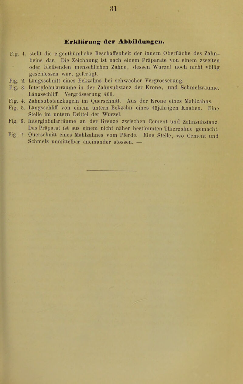 liirklärungr der Abbildung^en. Fig. 1. slelll die eigenthümliche Beschaffenheit der innern Ohcrilüche des Zahn- beins dar. Die Zeichnung ist nach einem Präparate von einem zweiten oder bleibenden menschlichen Zahne, dessen Wurzel noch nicht völlig geschlossen war, gefertigt. Fig. 2. Längsschnitt eines Eckzahns bei schwacher Vergrösserung. Fig. 3. Interglobularräume in der Zahnsubstanz der Krone, und Schmelzräume. Längsschliff. Vergrösserung 400. Fig. 4. Zahnsubstanzkugeln im Querschnitt. Aus der Krone eines Mahlzahns. Fig. 5. Längsschliff von einem untern Eckzahn eines löjährigen Knaben. Eine Stelle im untern Drittel der Wui’zel. Fig. 6. Inlerglobularräume an der Grenze zwischen Gement und Zahnsubstanz. Das Präparat ist aus einem nicht näher bestimmten Thierzahne gemacht. Fig. 7. Querschnitt eines Mahlzahnes vom Pferde. Eine Steile, wo Gement und Schmelz unmittelbar aneinander stossen. —