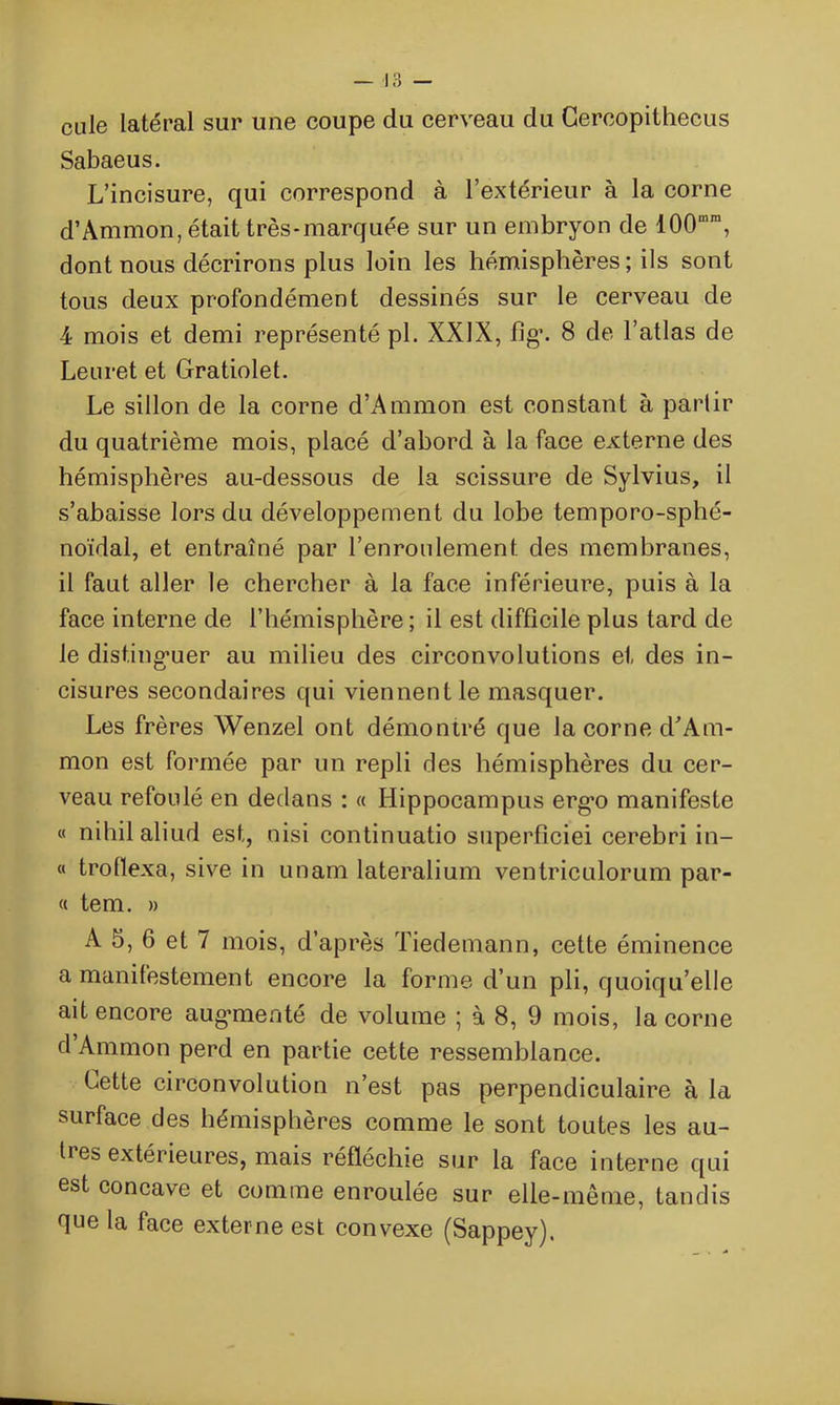 cule latéral sur une coupe du cerveau du Cercopithecus Sabaeus. L’incisure, qui correspond à l’extérieur à la corne d’Àmmon, était très-marquée sur un embryon de 100mra, dont nous décrirons plus loin les hémisphères ; ils sont tous deux profondément dessinés sur le cerveau de 4 mois et demi représenté pl. XXIX, fig\ 8 de l’atlas de Leuret et Gratiolet. Le sillon de la corne d’Ammon est constant à partir du quatrième mois, placé d’abord à la face externe des hémisphères au-dessous de la scissure de Sylvius, il s’abaisse lors du développement du lobe temporo-sphé- noïdal, et entraîné par l’enroulement des membranes, il faut aller le chercher à la face inférieure, puis à la face interne de l’hémisphère ; il est difficile plus tard de le distinguer au milieu des circonvolutions et des in- cisures secondaires qui viennent le masquer. Les frères Wenzel ont démontré que la corne d’Am- mon est formée par un repli des hémisphères du cer- veau refoulé en dedans : « Hippocampus ergo manifeste « nihilaliud est, nisi continuatio superficiei cerebri in- « troflexa, sive in unam lateralium ventriculorum par- « tem. » A 5, 6 et 7 mois, d’après Tiedemann, cette éminence a manifestement encore la forme d’un pli, quoiqu’elle ait encore augmenté de volume ; à 8, 9 mois, la corne d Ammon perd en partie cette ressemblance. Lette circonvolution n’est pas perpendiculaire à la surface des hémisphères comme le sont toutes les au- tres extérieures, mais réfléchie sur la face interne qui est concave et comme enroulée sur elle-même, tandis que la face externe est convexe (Sappey).