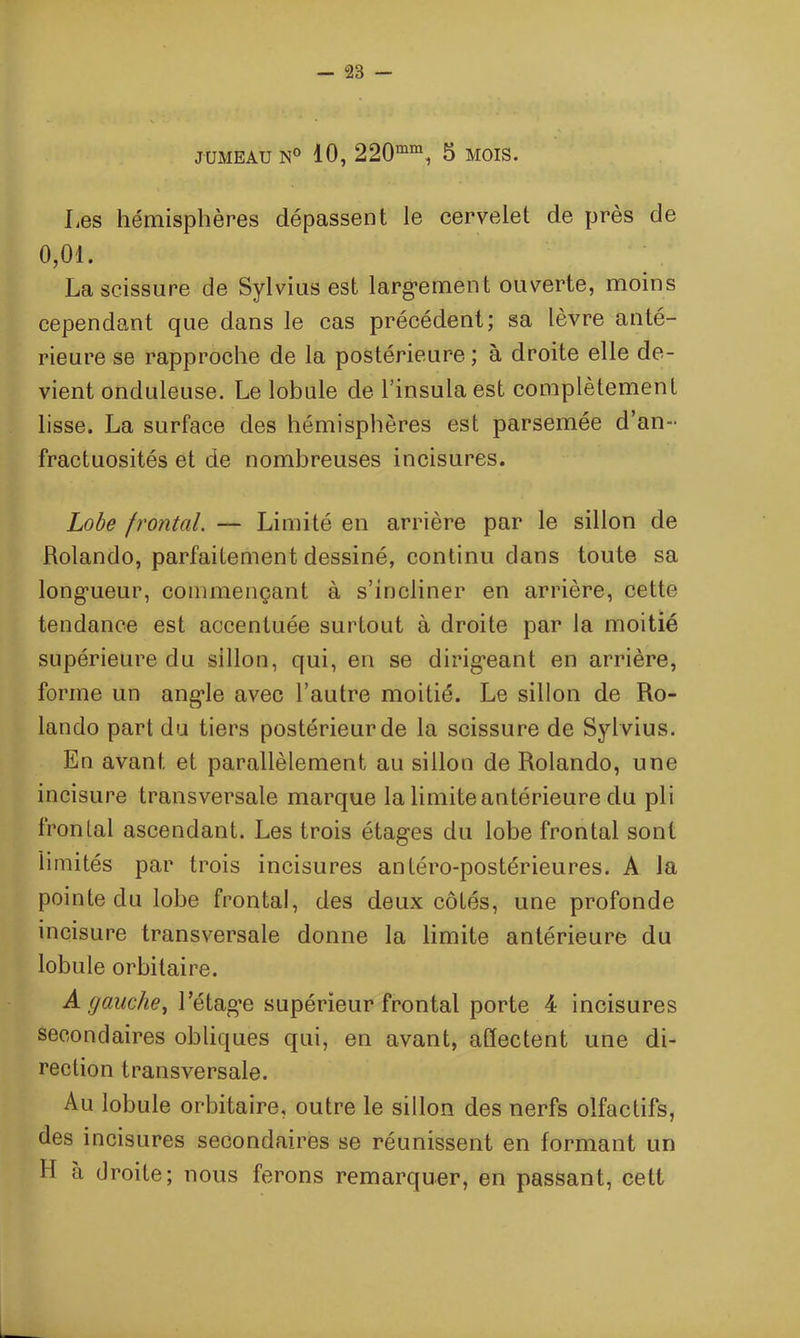 JUMEAU N° 10, 220mm, 5 MOIS. Les hémisphères dépassent le cervelet de près de 0,01. La scissure de Sylvius est largement ouverte, moins cependant que dans le cas précédent; sa lèvre anté- rieure se rapproche de la postérieure ; à droite elle de- vient onduleuse. Le lobule de l’insulaest complètement lisse. La surface des hémisphères est parsemée d’an- fractuosités et de nombreuses incisures. Lobe frontal. — Limité en arrière par le sillon de Rolando, parfaitement dessiné, continu dans toute sa longueur, commençant à s’incliner en arrière, cette tendance est accentuée surtout à droite par la moitié supérieure du sillon, qui, en se dirigeant en arrière, forme un angle avec l’autre moitié. Le sillon de Ro- lando part du tiers postérieur de la scissure de Syl vius. En avant et parallèlement au sillon de Rolando, une incisure transversale marque la limite antérieure du pli frontal ascendant. Les trois étages du lobe frontal sont limités par trois incisures antéro-postérieures. A la pointe du lobe frontal, des deux côtés, une profonde incisure transversale donne la limite antérieure du lobule orbitaire. A gauche, Létag’e supérieur frontal porte 4 incisures secondaires obliques qui, en avant, affectent une di- rection transversale. Au lobule orbitaire, outre le sillon des nerfs olfactifs, des incisures secondaires se réunissent en formant un H à droite; nous ferons remarquer, en passant, cett