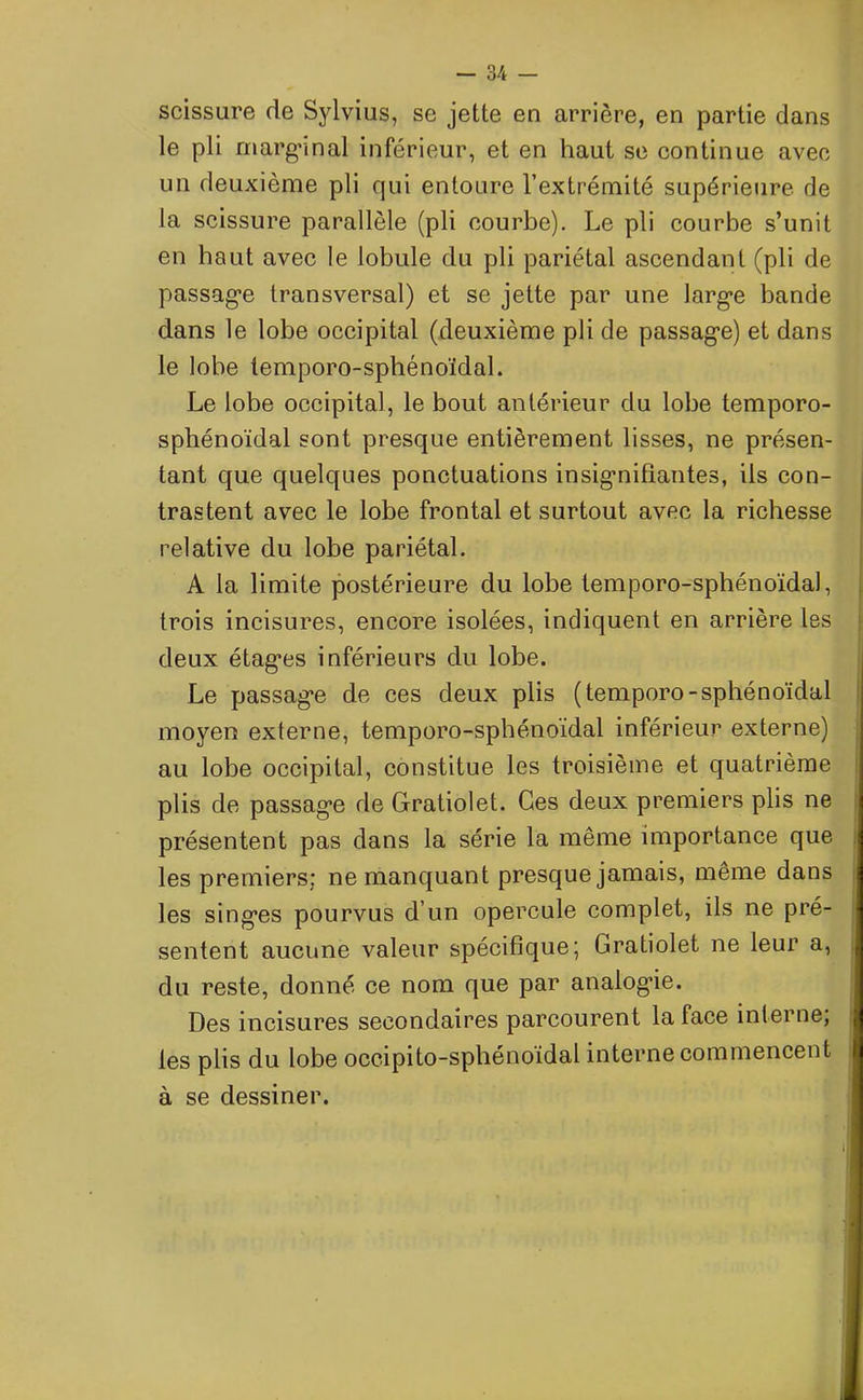 scissure de Sylvius, se jette en arrière, en partie dans le pli marginal inférieur, et en haut se continue avec un deuxième pli qui entoure l’extrémité supérieure rie la scissure parallèle (pli courbe). Le pli courbe s’unit en haut avec le lobule du pli pariétal ascendant (pli de passage transversal) et se jette par une large bande dans le lobe occipital (deuxième pli de passage) et dans le lobe temporo-sphénoïdal. Le lobe occipital, le bout antérieur du lobe temporo- sphénoïdal sont presque entièrement lisses, ne présen- tant que quelques ponctuations insignifiantes, ils con- trastent avec le lobe frontal et surtout avec la richesse relative du lobe pariétal. A la limite postérieure du lobe temporo-sphénoïdal, trois incisures, encore isolées, indiquent en arrière les deux étages inférieurs du lobe. Le passage de ces deux plis (temporo-sphénoïdal moyen externe, temporo-sphénoïdal inférieur externe) au lobe occipital, constitue les troisième et quatrième plis de passage de Gratiolet. Ces deux premiers plis ne présentent pas dans la série la même importance que les premiers; ne manquant presque jamais, même dans les singes pourvus d’un opercule complet, ils ne pré- sentent aucune valeur spécifique; Lratiolet ne leur a, du reste, donné ce nom que par analogie. Des incisures secondaires parcourent la face interne; les plis du lobe occipito-spliénoïdal interne commencent à se dessiner. ■