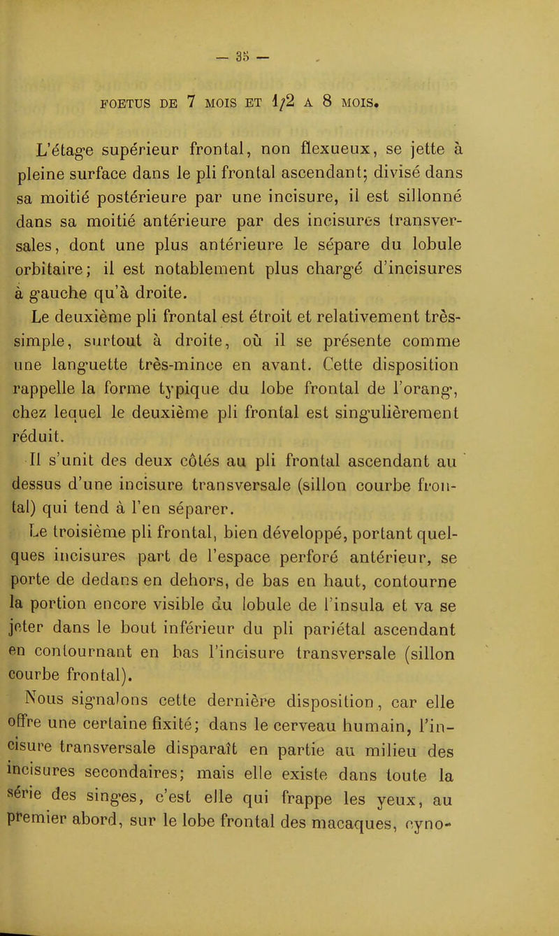- 3 o — FOETUS DE 7 MOIS ET 1/2 A 8 MOIS. L’étage supérieur frontal, non flexueux, se jette à pleine surface dans le pli frontal ascendant; divisé dans sa moitié postérieure par une incisure, il est sillonné dans sa moitié antérieure par des incisures transver- sales, dont une plus antérieure le sépare du lobule orbitaire; il est notablement plus chargé d’incisures à g’auche qu’à droite. Le deuxième pli frontal est étroit et relativement très- simple, surtout à droite, où il se présente comme une langmette très-mince en avant. Cette disposition rappelle la forme typique du lobe frontal de l’orang, chez lequel le deuxième pli frontal est singulièrement réduit. Il s’unit des deux côtés au pli frontal ascendant au dessus d’une incisure transversale (sillon courbe fron- tal) qui tend à l’en séparer. Le troisième pli frontal, bien développé, portant quel- ques incisures part de l’espace perforé antérieur, se porte de dedans en dehors, de bas en haut, contourne la portion encore visible du lobule de l’insula et va se jeter dans le bout inférieur du pli pariétal ascendant en contournant en bas l’ineisure transversale (sillon courbe frontal). Nous signalons cette dernière disposition, car elle offre une certaine fixité; dans le cerveau humain, l’in— cisure transversale disparaît en partie au milieu des incisures secondaires; mais elle existe dans toute la série des singes, c’est elle qui frappe les yeux, au premier abord, sur le lobe frontal des macaques, eyno-