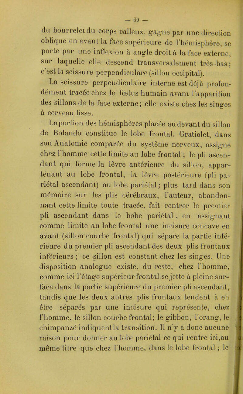 du bourrelet du corps calleux, gagne par une direction oblique en avant la face supérieure de l’hémisphère, se porte par une inflexion à angle droit à la face externe, sur laquelle elle descend transversalement très-bas; c’est la scissure perpendiculaire (sillon occipital). La scissure perpendiculaire interne est déjà profon- dément tracée chez le fœtus humain avant l’apparition des sillons de la face externe; elle existe chez les singes à cerveau lisse. Laportion des hémisphères placée au devant du sillon de Rolando constitue le lobe frontal. Gratiolet, dans son Anatomie comparée du système nerveux, assigme chez l’homme cette limite au lobe frontal ; le pli ascen- dant qui forme la lèvre antérieure du sillon, appar- tenant au lobe frontal, la lèvre postérieure (pli pa- riétal ascendant) au lobe pariétal; plus tard dans son mémoire sur les plis cérébraux, l’auteur, abandon- nant cette limite toute tracée, fait rentrer le premier pli ascendant dans le bobe pariétal , en assignant comme limite au lobe frontal une incisure concave en avant (sillon courbe frontal) qui sépare la partie infé- rieure du premier pli ascendant des deux plis frontaux inférieurs; ce sillon est constant chez les singes. Une disposition analogue existe, du reste, chez l’homme, comme ici l’étage supérieur frontal se jette à pleine sur- face dans la partie supérieure du premier pli ascendant, tandis que les deux autres plis frontaux tendent à en être séparés par une incisure qui représente, chez l’homme, le sillon courbe frontal; le gibbon, l’orang, le raison pour donner au lobe pariétal ce qui rentre ici,au même titre que chez l’homme, dans le lobe frontal ; le