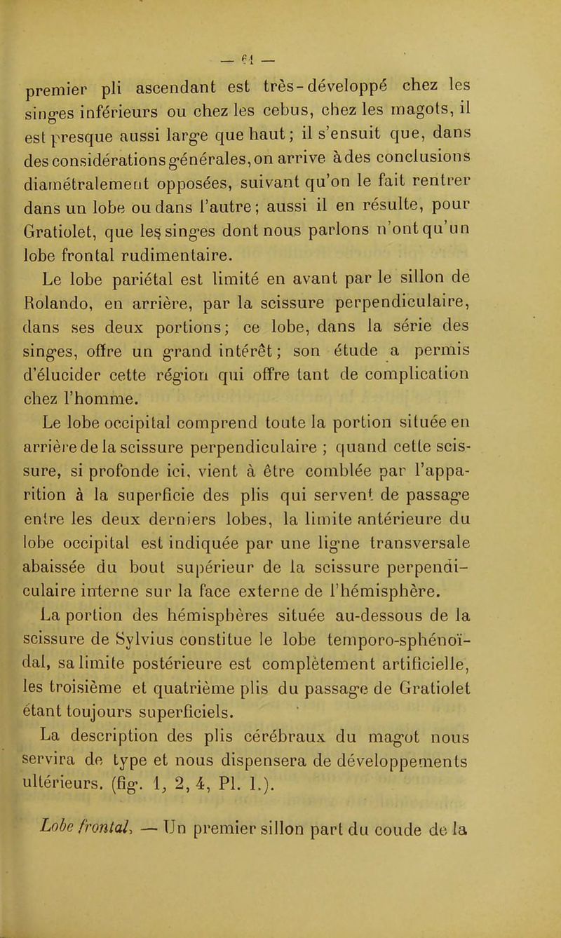 premier pli ascendant est très-développé chez les singes inférieurs ou chez les cebus, chez les magots, il est presque aussi large que haut; il s’ensuit que, dans des considérations générales, on arrive ades conclusions diamétralement opposées, suivant qu’on le fait rentrer dans un lobe ou dans l’autre; aussi il en résulte, pour Gratiolet, que le§ singes dont nous parlons n’ont qu’un lobe frontal rudimentaire. Le lobe pariétal est limité en avant par le sillon de Rolando, en arrière, par la scissure perpendiculaire, dans ses deux portions; ce lobe, dans la série des singes, offre un grand intérêt ; son étude a permis d’élucider cette région qui offre tant de complication chez l’homme. Le lobe occipital comprend toute la portion située en arrière de la scissure perpendiculaire ; quand cette scis- sure, si profonde ici, vient à être comblée par l’appa- rition à la superficie des plis qui servent de passag’e entre les deux derniers lobes, la limite antérieure du lobe occipital est indiquée par une ligne transversale abaissée du bout supérieur de la scissure perpendi- culaire interne sur la face externe de l’hémisphère. La portion des hémisphères située au-dessous de la scissure de Sylvius constitue le lobe temporo-sphénoï- dal, sa limite postérieure est complètement artificielle, les troisième et quatrième plis du passage de Gratiolet étant toujours superficiels. La description des plis cérébraux du magot nous servira de type et nous dispensera de développements ultérieurs, (fig. 1, 2, 4, PL L). Lobe frontal> — Un premier sillon part du coude de la