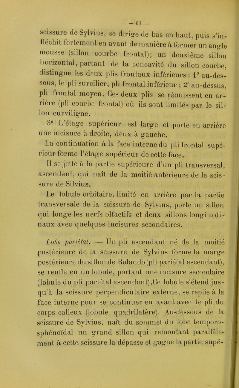 scissure de Sylvius, se dirige de bas en haut, puis s'in- fléchit foi tement en avant de manière à former un angde mousse (sillon courbe frontal); un deuxième sillon horizontal, partant de la concavité du sillon courbe, distingue les deux plis frontaux inférieurs : 1° au-des- sous, le pli surcilier, pli frontal inférieur ; 2° au-dessus, pli frontal moyen. Ces deux plis se réunissent en ar- rière (pli courbe frontal) où ils sont limités par le sil- lon curviligne. 3° L’étage supérieur est large et porte en arrière une incisure a droite, deux à gauche. La continuation à la face interne du pli frontal supé- rieur forme l’étage supérieur de cette face. Il se jette à la partie supérieure d’un pli transversal, ascendant, qui naît de la moitié antérieure de la scis- sure de Silvius. Le lobule orbitaire, limité en arrière par la partie transversale de la scissure de Sylvius, porte un sillon qui longe les nerfs olfactifs et deux sillons longi udi- naux avec quelques incisures secondaires. Lobe pariétal. — Un pli ascendant né de la moitié postérieure de la scissure de Sylvius forme la marge postérieure du sillon de Rolando(pli pariétal ascendant), se renfle en un lobule, portant une incisure secondaire (lobule du pli pariétal ascendant).Ce lobule s’étend jus- qu’à la scissure perpendiculaire externe, se replie à la face interne pour se continuer en avant avec le pli du corps calleux (lobule quadrilatère). Au-dessous de la scissure de Sylvius, naît du sommet du lobe temporo- sphénoïdal un grand sillon qui remontant parallèle- ment à cette scissure la dépasse et gagne la partie supé-